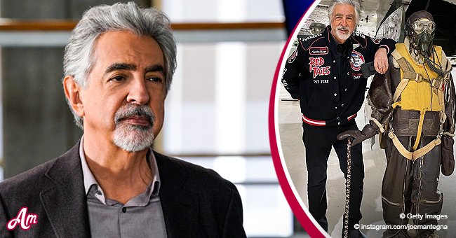 Joe Mantegna's Fans Can't Stop Complimenting His Catchy Jacket in a New  Photo – He Looks So Stylish!