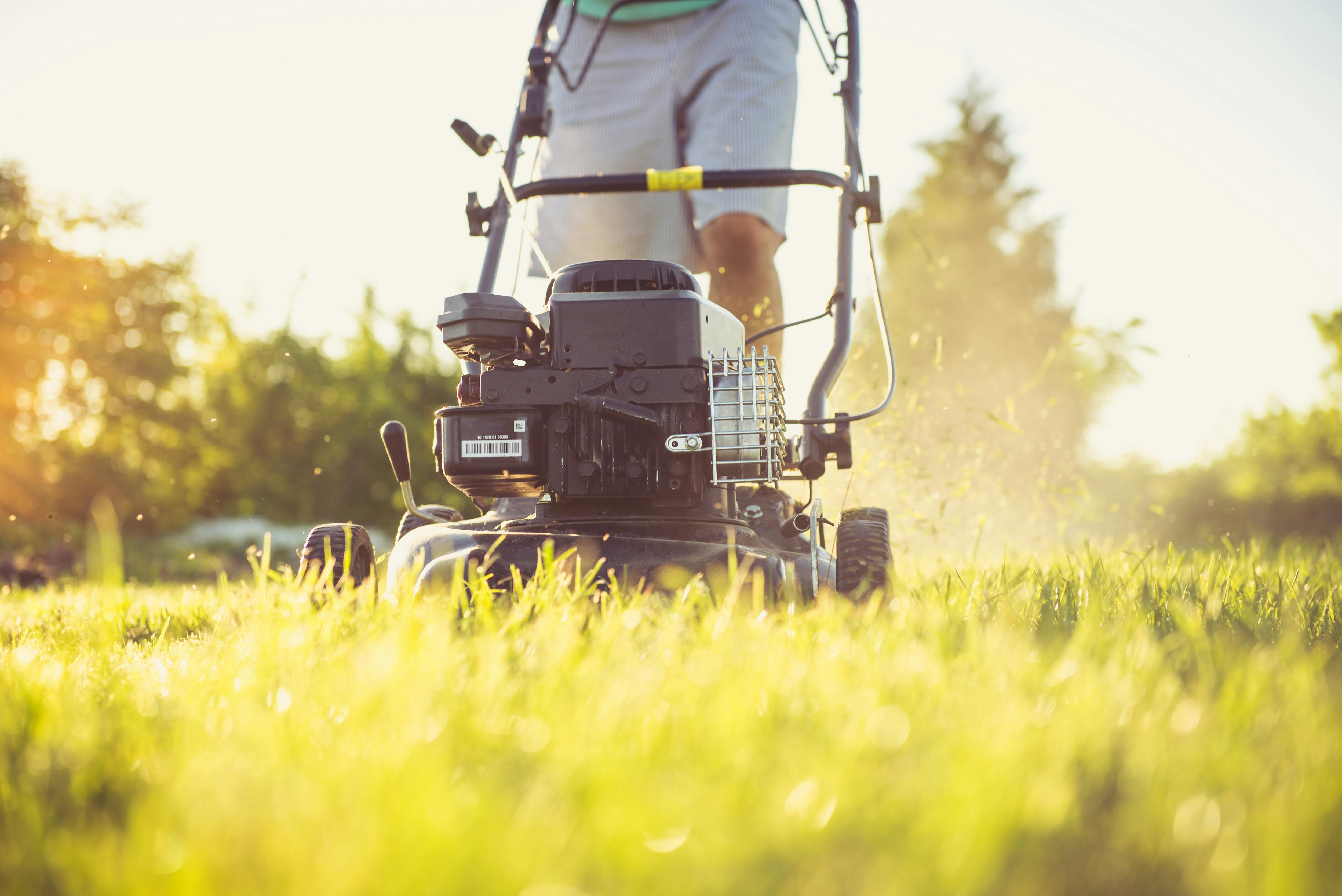 Mowing the lawn | Source: Pexels