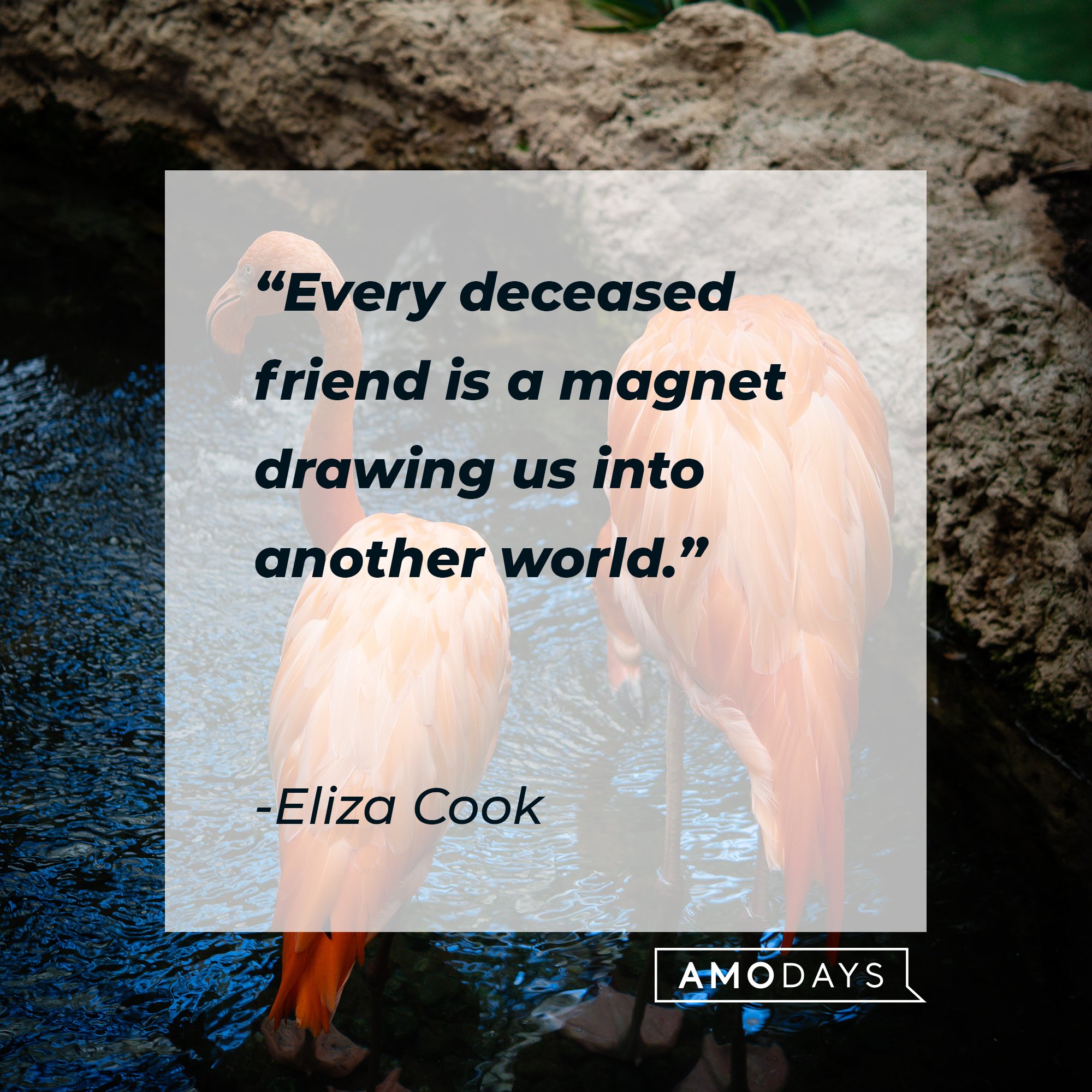 Eliza Cook’s quote: “Every deceased friend is a magnet drawing us into another world.” | Image: AmoDays