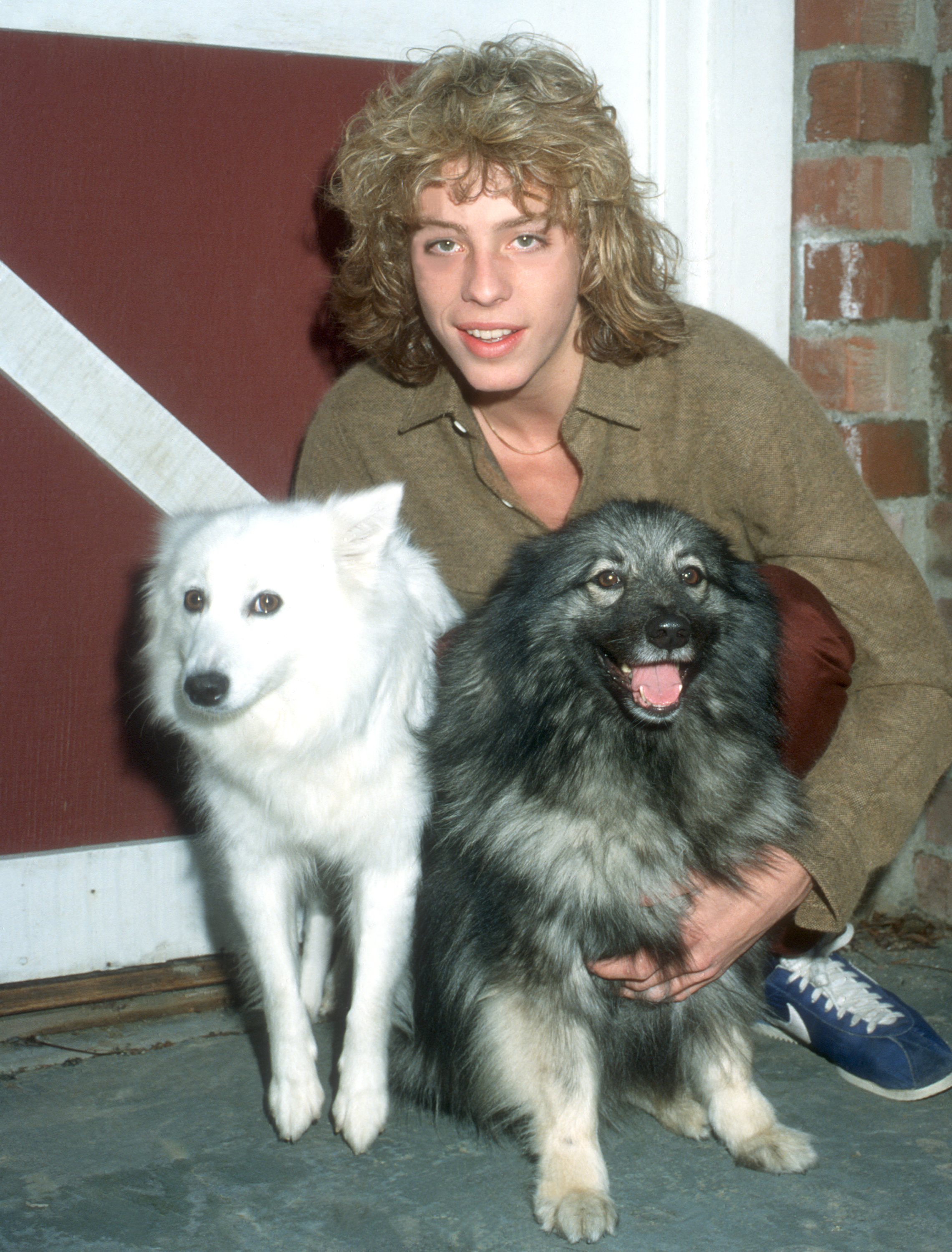 The singer pictured with dogs on January 1, 1970 | Source: Getty Images