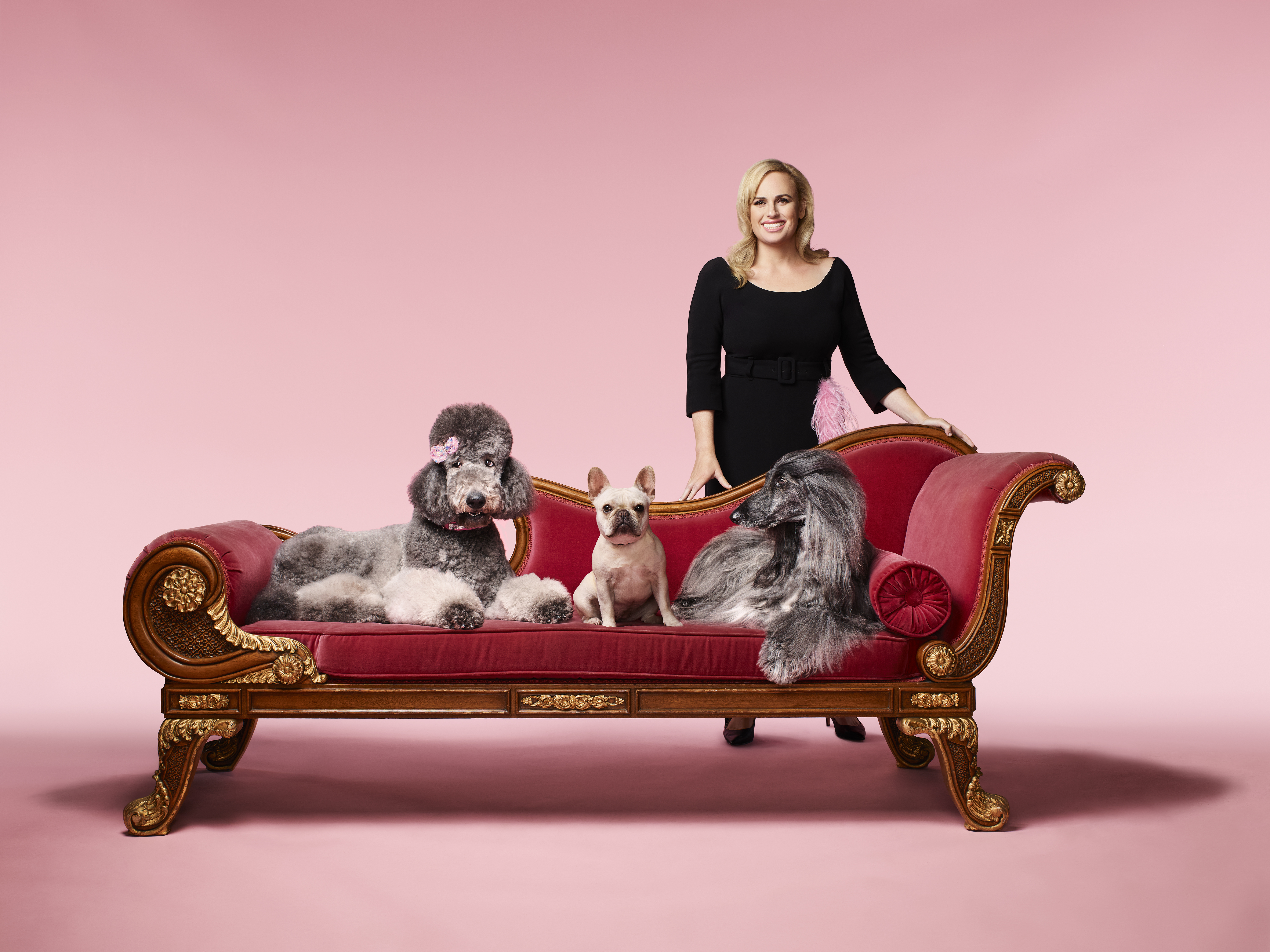 Rebel Wilson pictured with dogs for the ABC TV show "Pooch Perfect." | Source: Getty Images