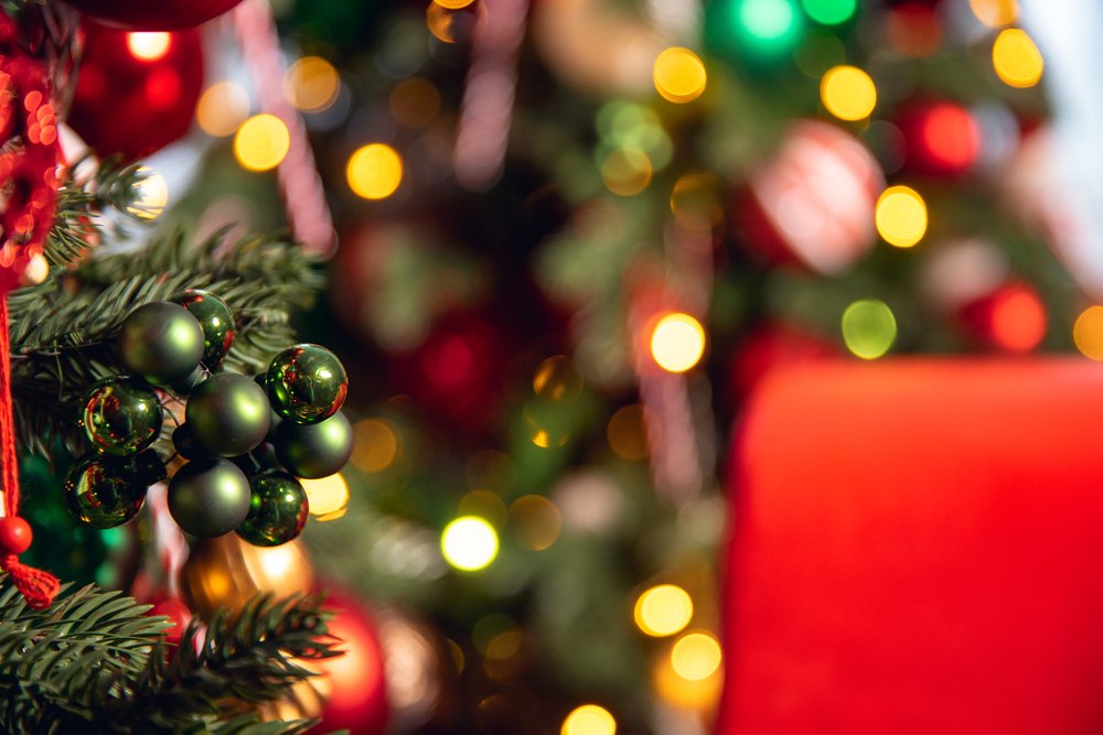 Christmas green pine tree with background bokeh light. | Photo: Shutterstock