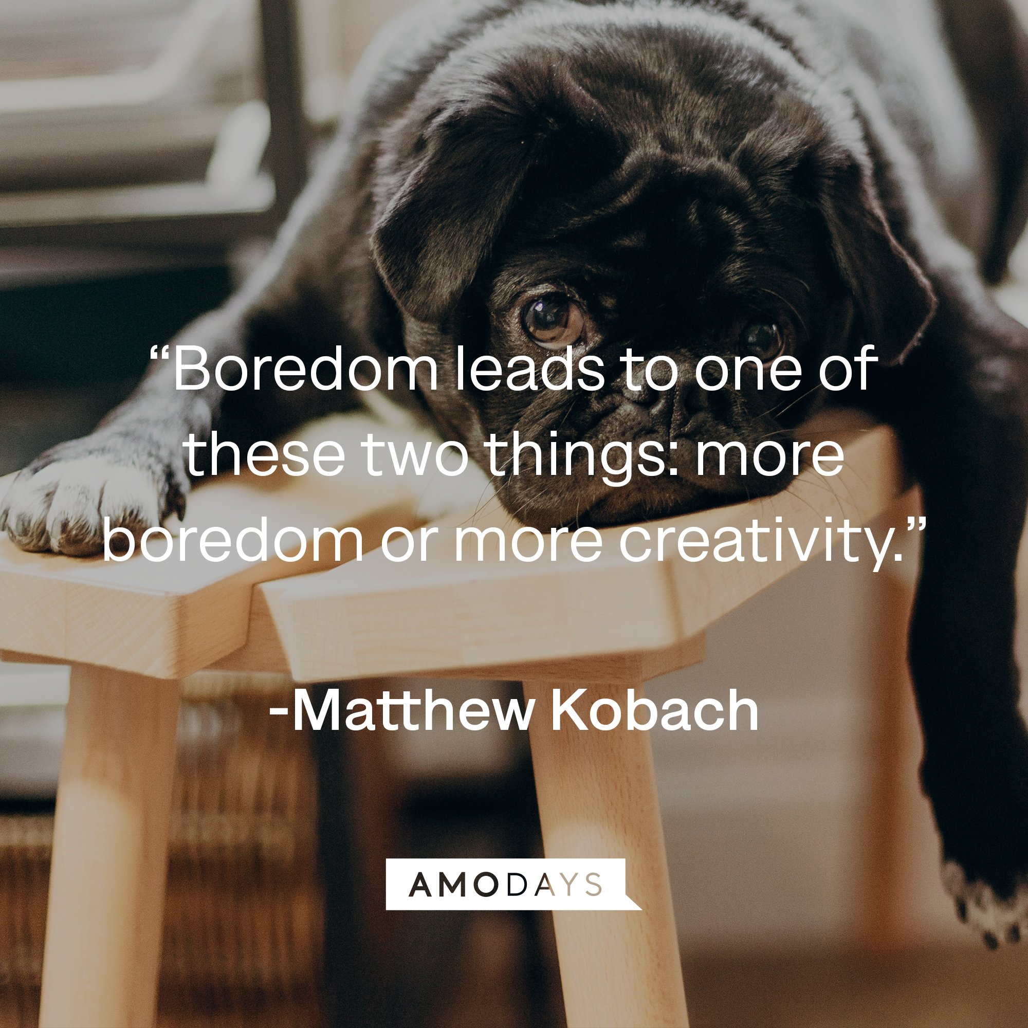  Matthew KobachImage's quote: “Boredom leads to one of these two things: more boredom or more creativity.” | Image: AmoDays
