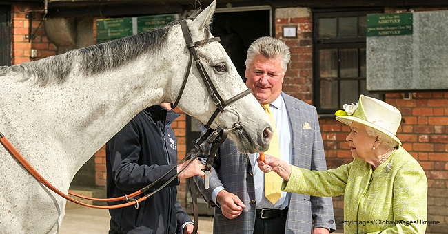 La Reine Elizabeth, qui aime les chevaux, sourit en donnant des carottes à un cheval lors d'une visite au Somerset