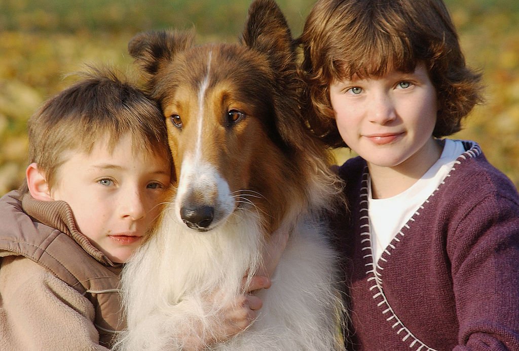 Die Schauspieler Jonathan Mason und Hester Odgers mit dem Hund Lassie | Quelle: Getty Images Die Schauspieler Jonathan Mason und Hester Odgers mit dem Hund Lassie | Quelle: Getty Images