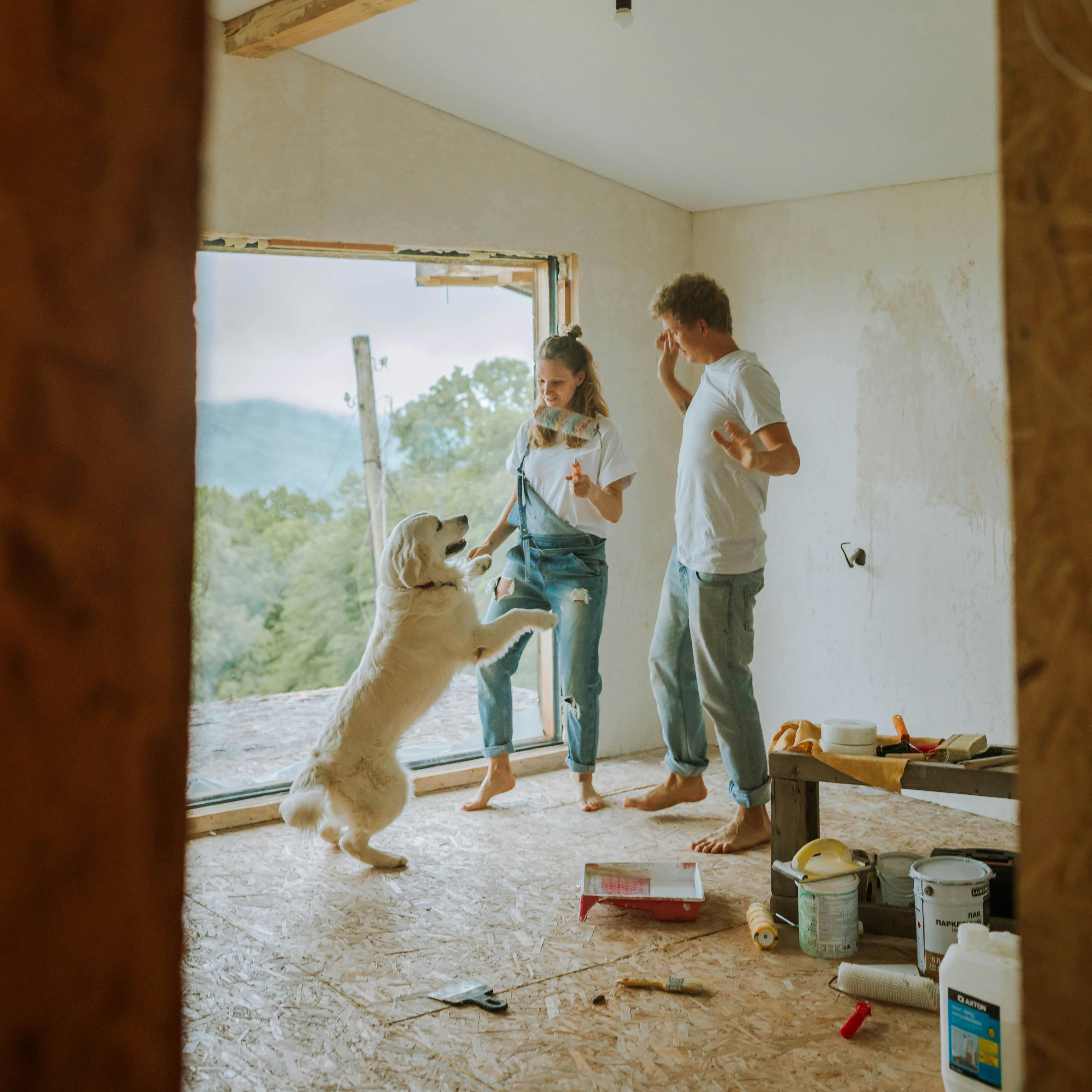 A couple and their dog renovating a room | Source: Pexels