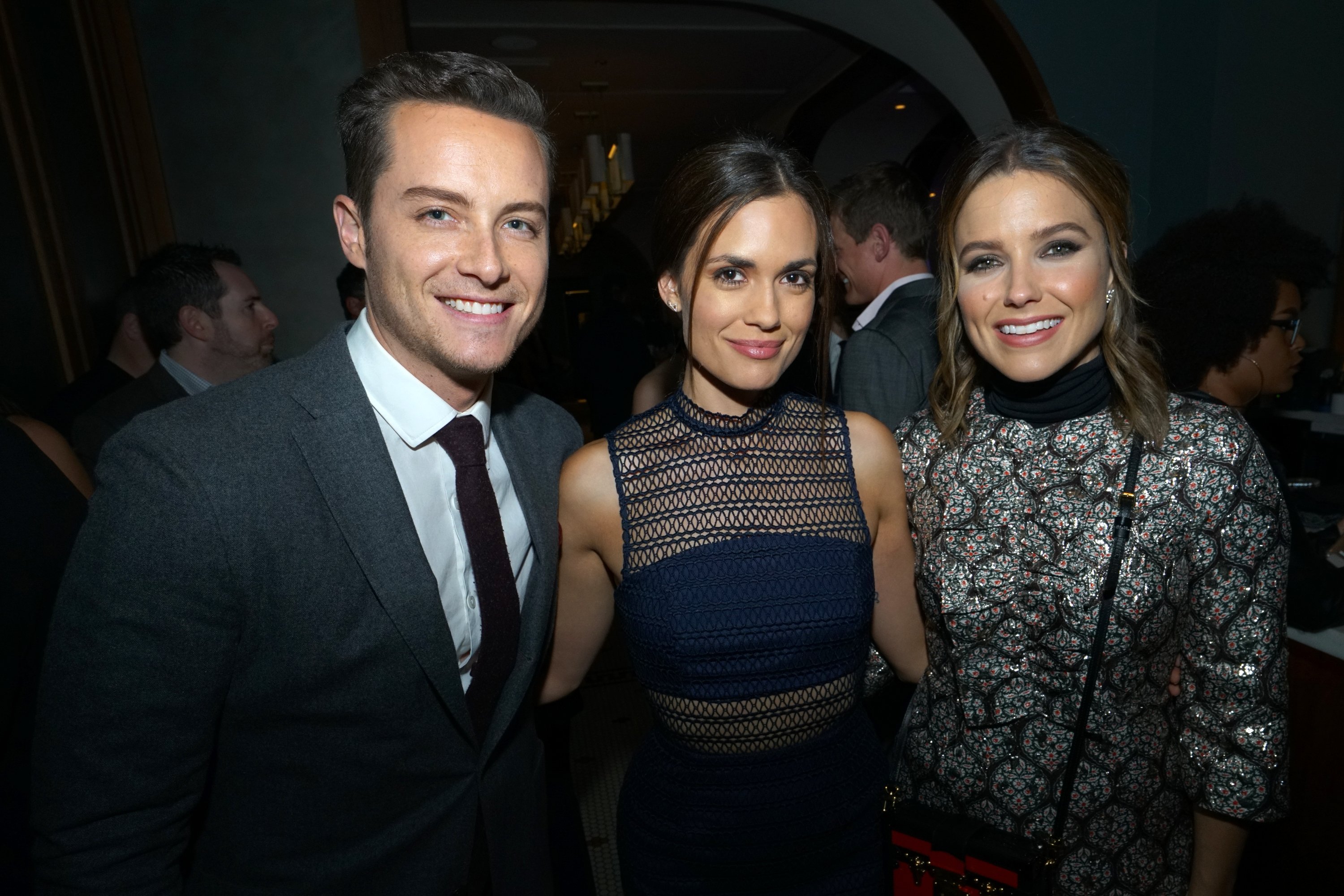 Jesse Lee Soffer, Torrey DeVito, and Sophia Bush attend the "One Chicago Day" party in Chicago, Illinois on October 24, 2016. | Source: Getty Images 