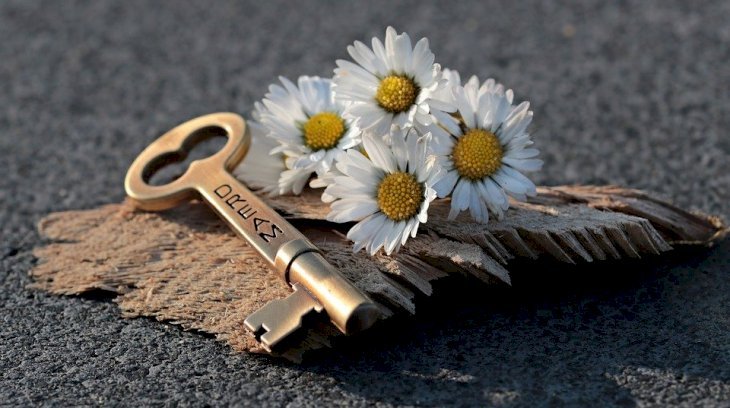 Imagen tomada de: Pixabay Imagen tomada de: Pixabay