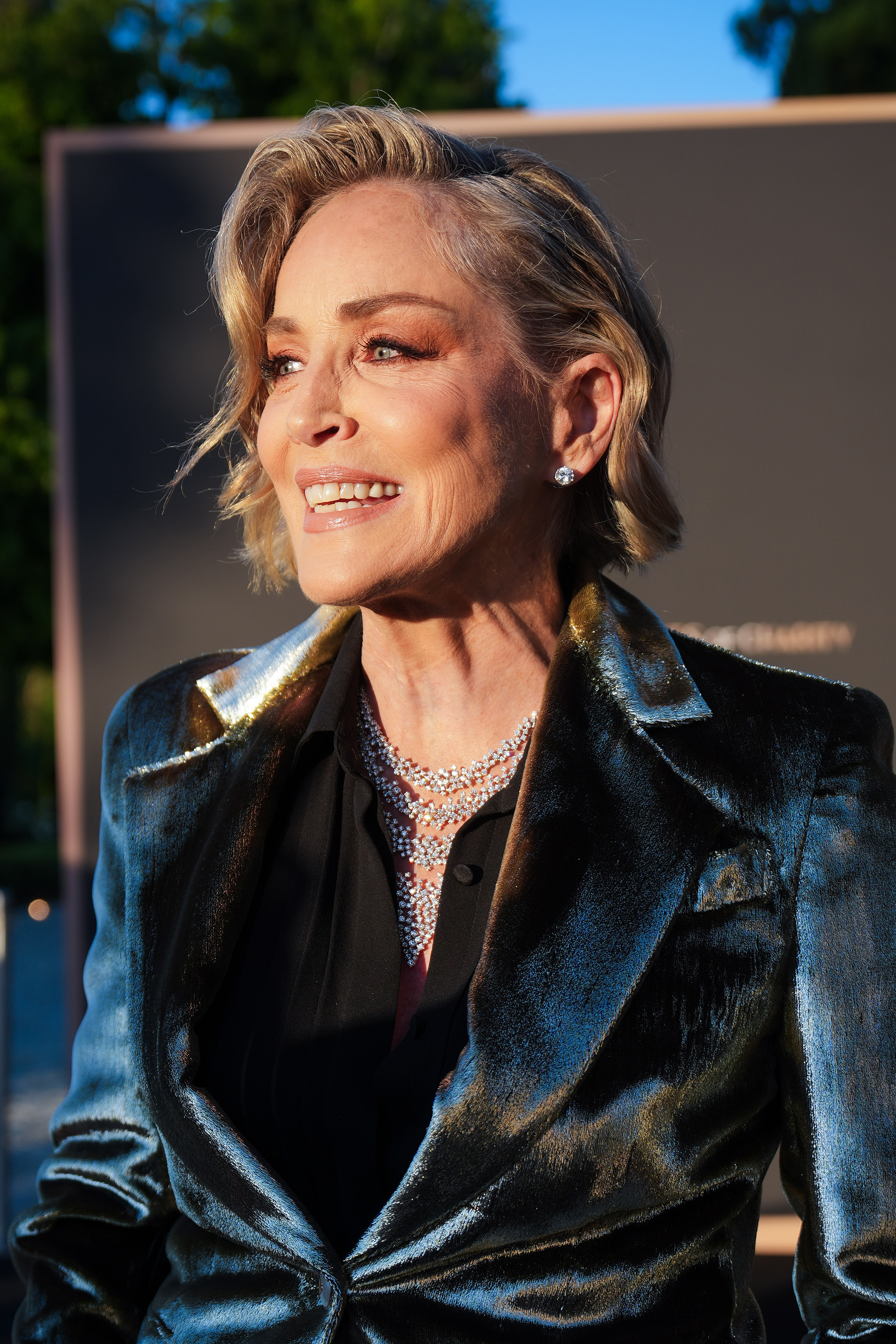 Sharon Stone beams beneath the Cannes evening light, pairing sparkling jewelry with a sleek tailored look as she enjoys one of the festival's most glamorous charitable events.