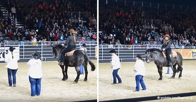 Horse hears her favorite song and easily proves that she is a perfect dancer 