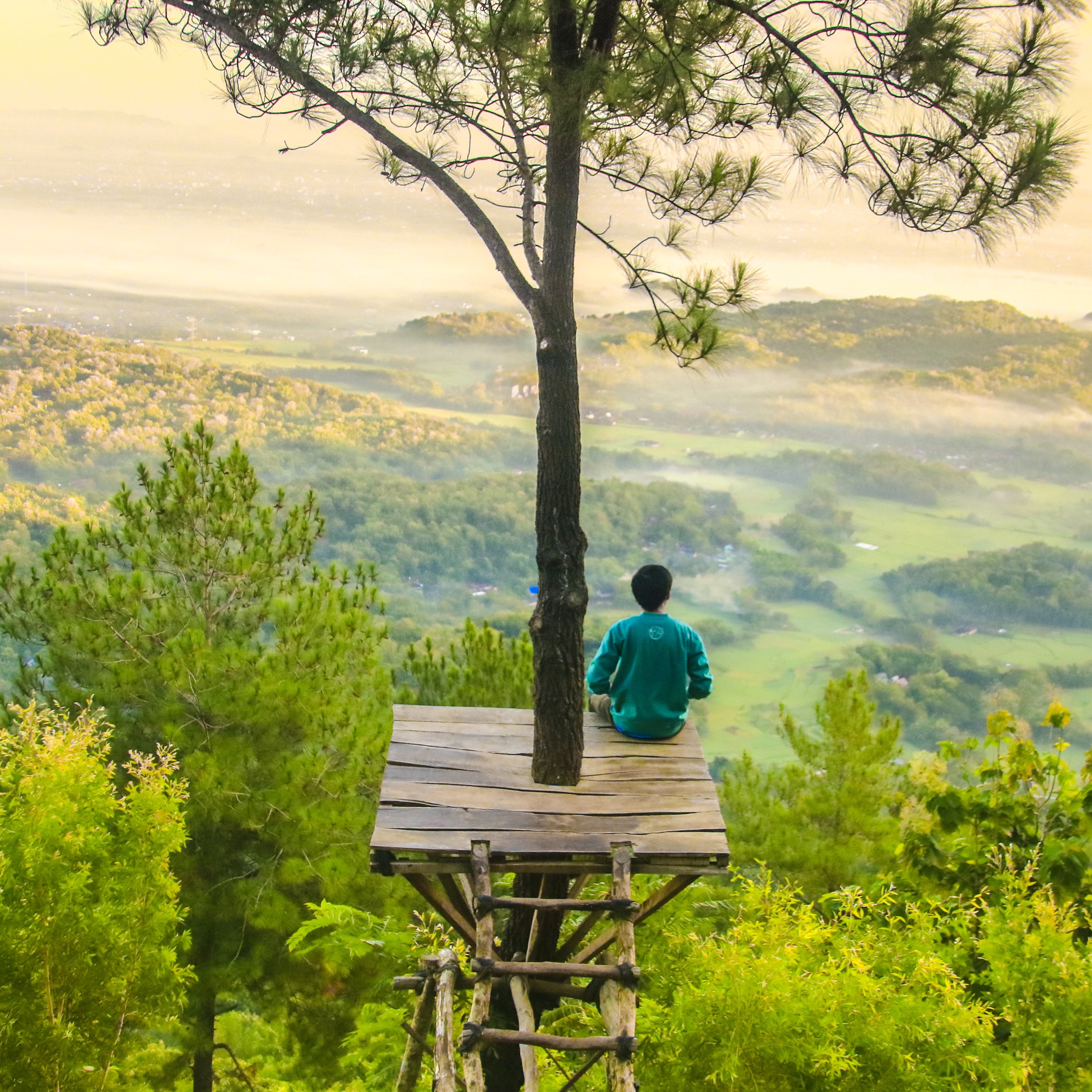Un garçon assie seul dans un arbre. | Photo : Pexels