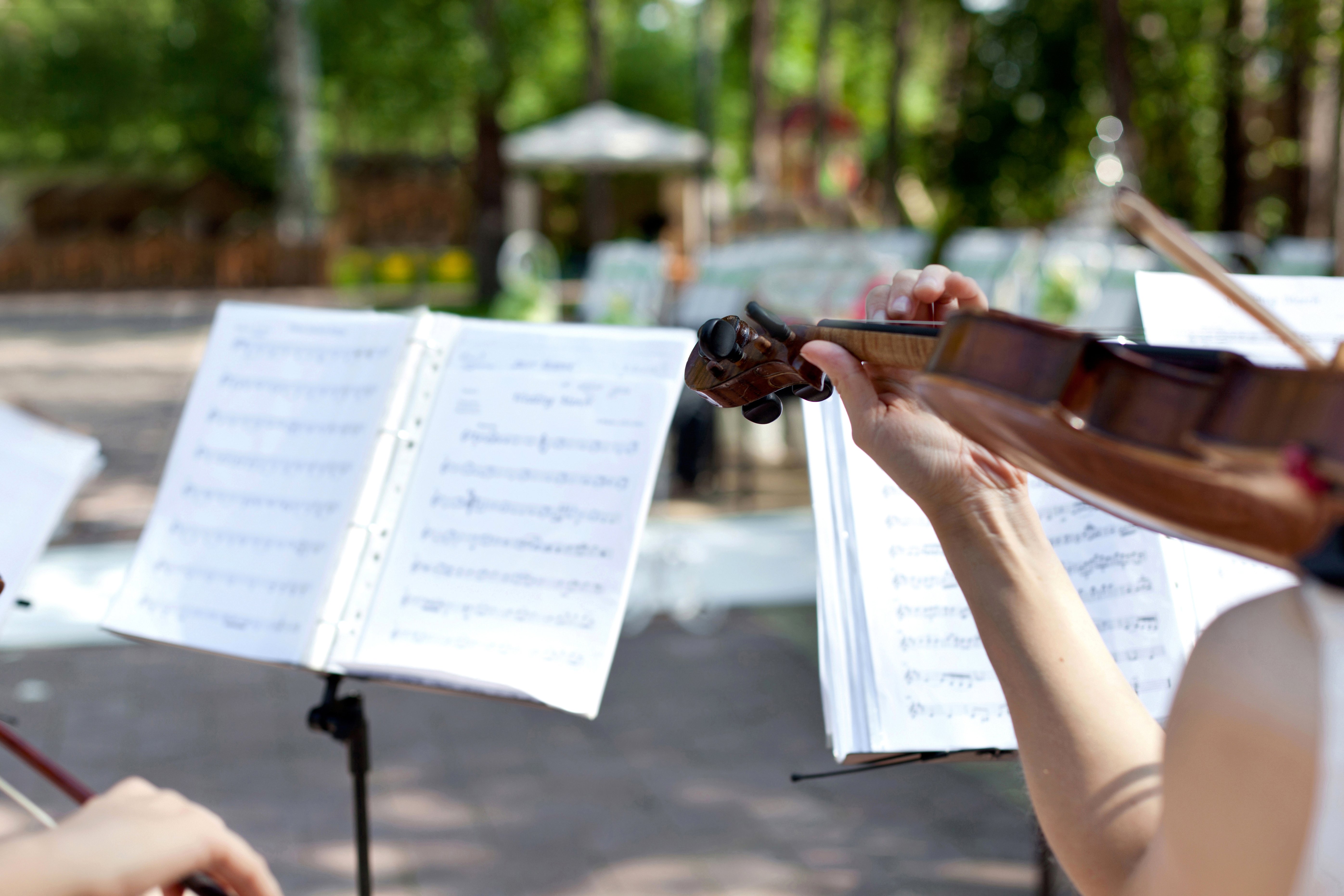 Violinistas en boda. | Foto: Shutterstock