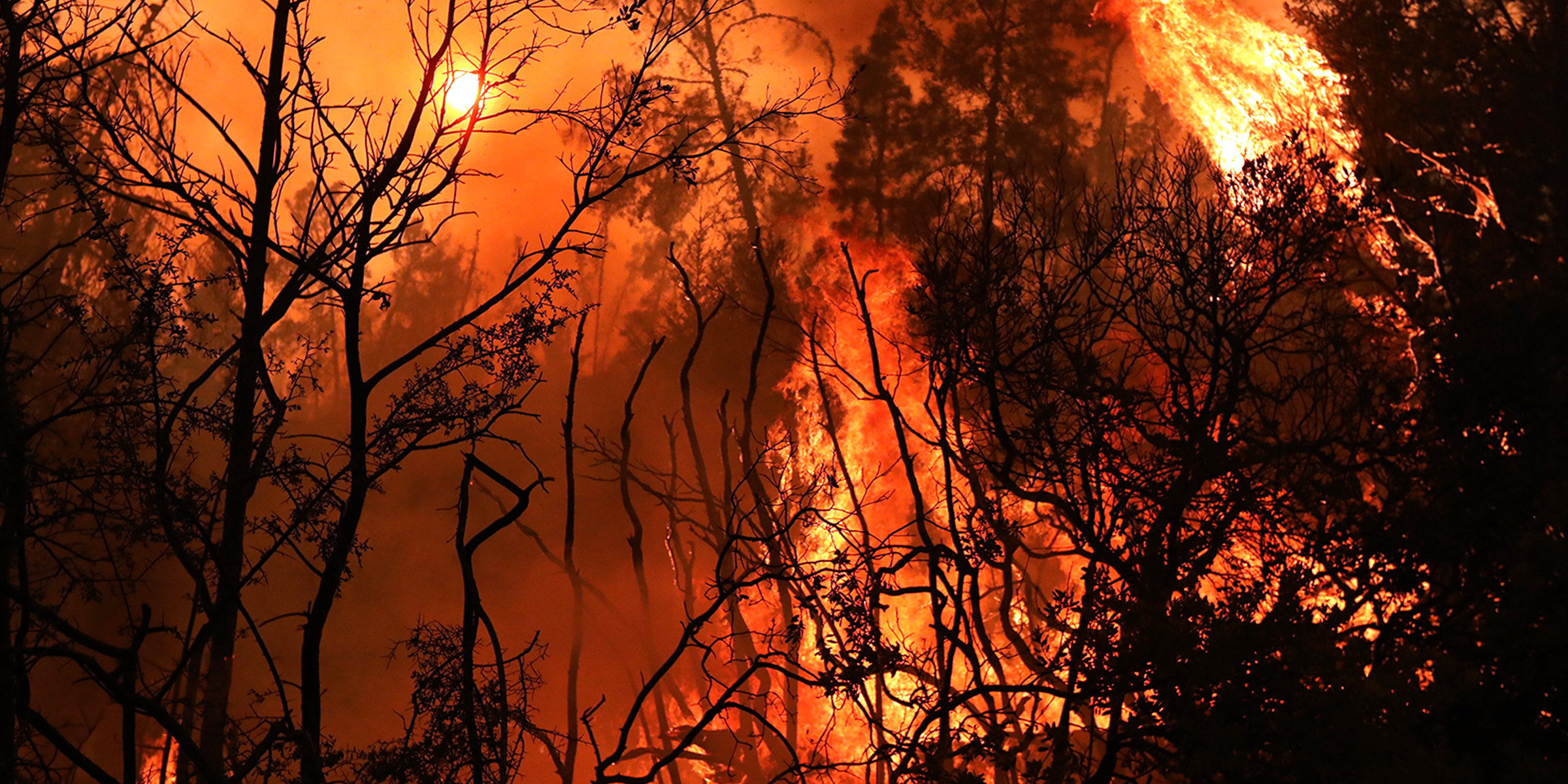 Wildfire in Santa Cruz County | Source: Getty Images