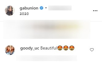 A fan's comment on Gabrielle Union's post | Photo: Instagram/gabunion