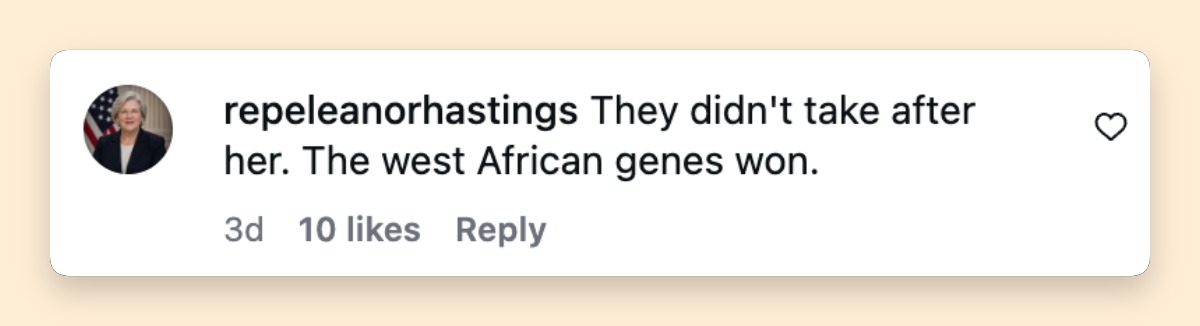 A netizen's comment about Nia Long's sons from a post dated April 24, 2026 | Source: Instagram/The Shade Room