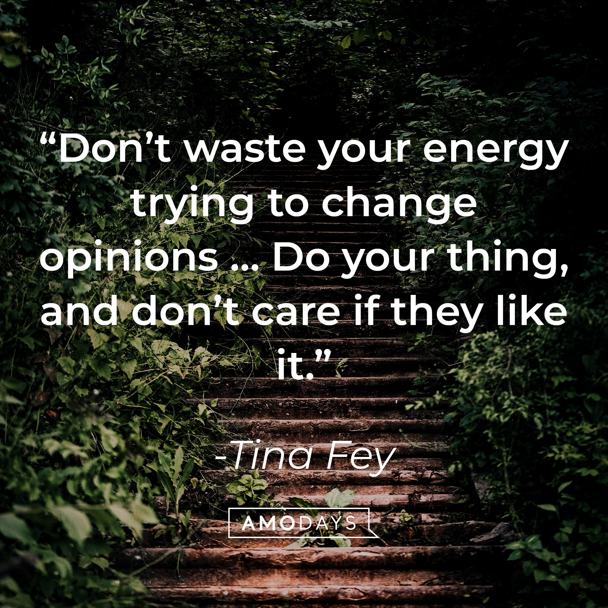  Tina Fey's quote: “Don’t waste your energy trying to change opinions … Do your thing, and don’t care if they like it.” | Image: AmoDays