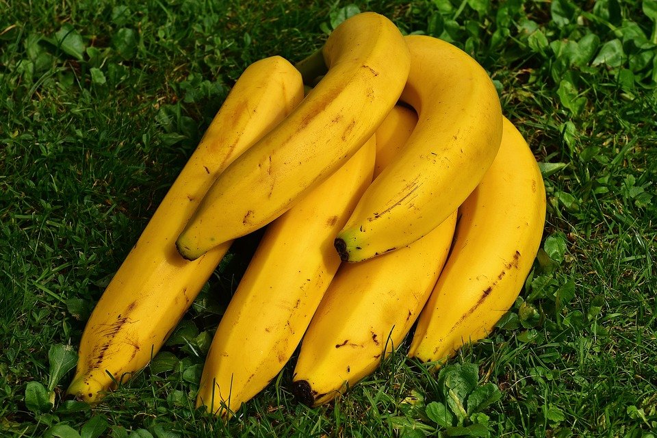 Des bananes. | Photo : Pixabay