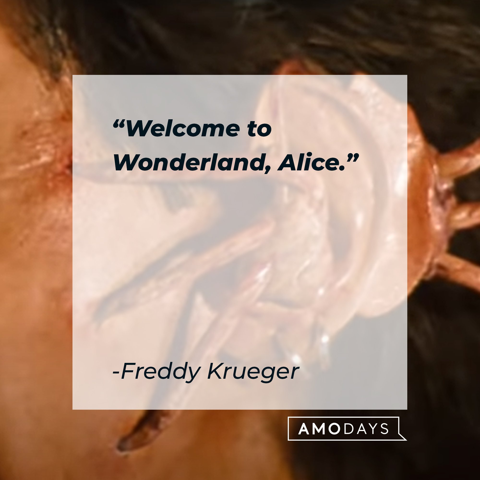 Freddy Krueger’s quote: “Welcome to Wonderland, Alice." | Image: AmoDays