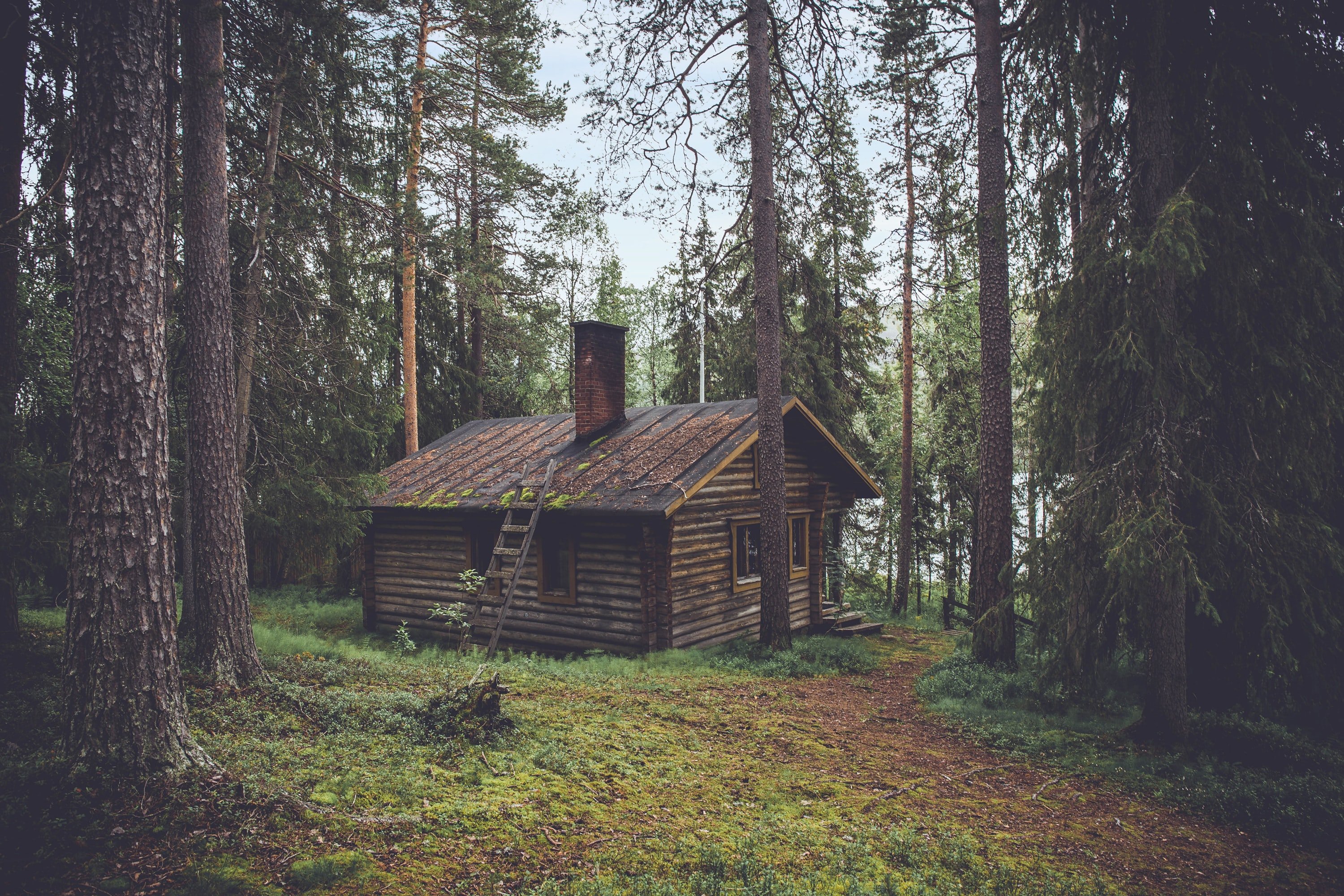 Mike folgte den Fußspuren des Jungen und erreichte eine alte Hütte im Wald. | Quelle: Unsplash