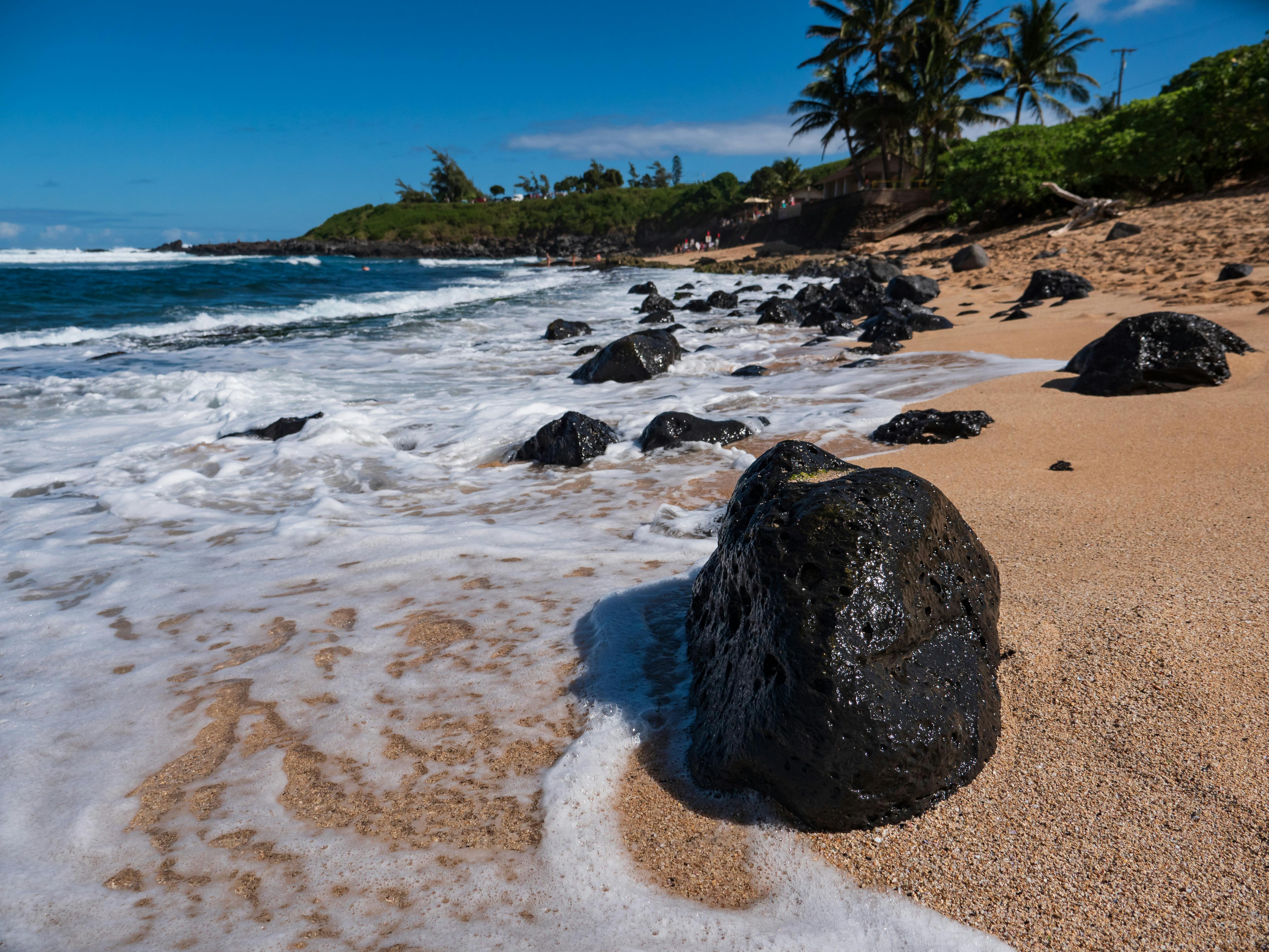 A beachfront | Source: Pexels