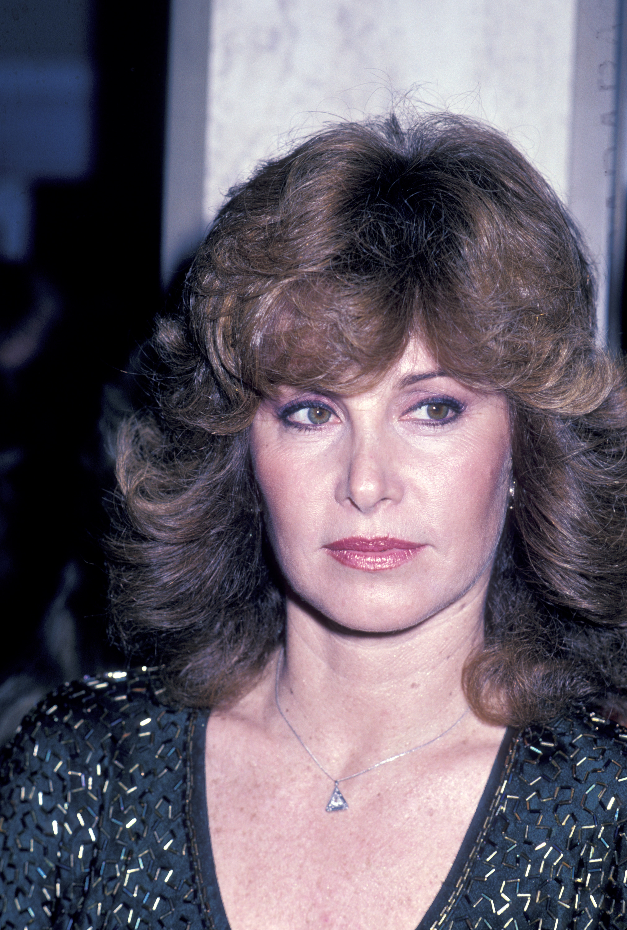 The actress during the 34th Annual Directors Guild of America Awards on March 13, 1982, in Beverly Hills, California. | Source: Getty Images