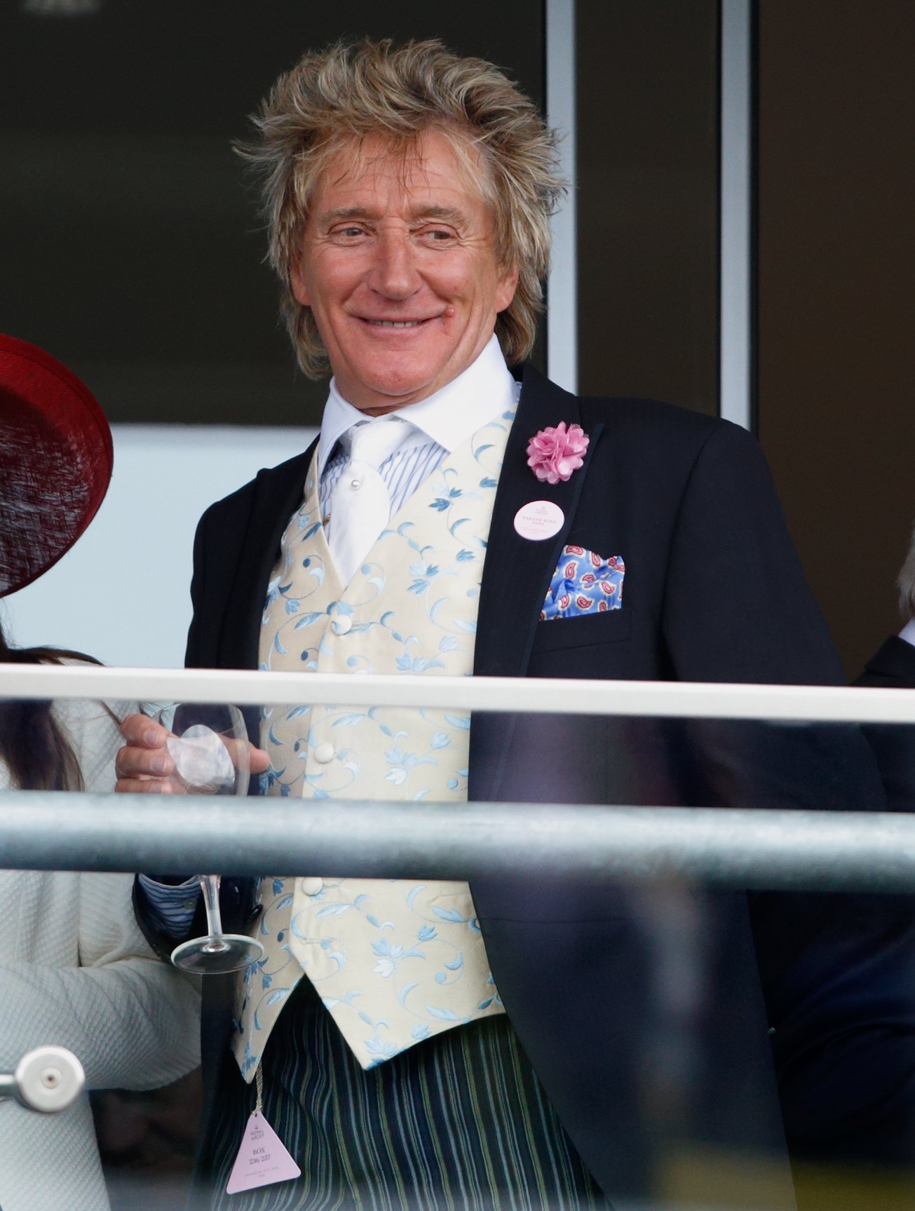 Sir Rod Stewart on June 15, 2016 in Ascot, England | Source: Getty Images