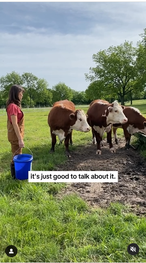 Jennifer Garner feeding cows at her family's farm from an Instagram video dated December 9, 2023 | Source: Instagram/jennifer.garner/