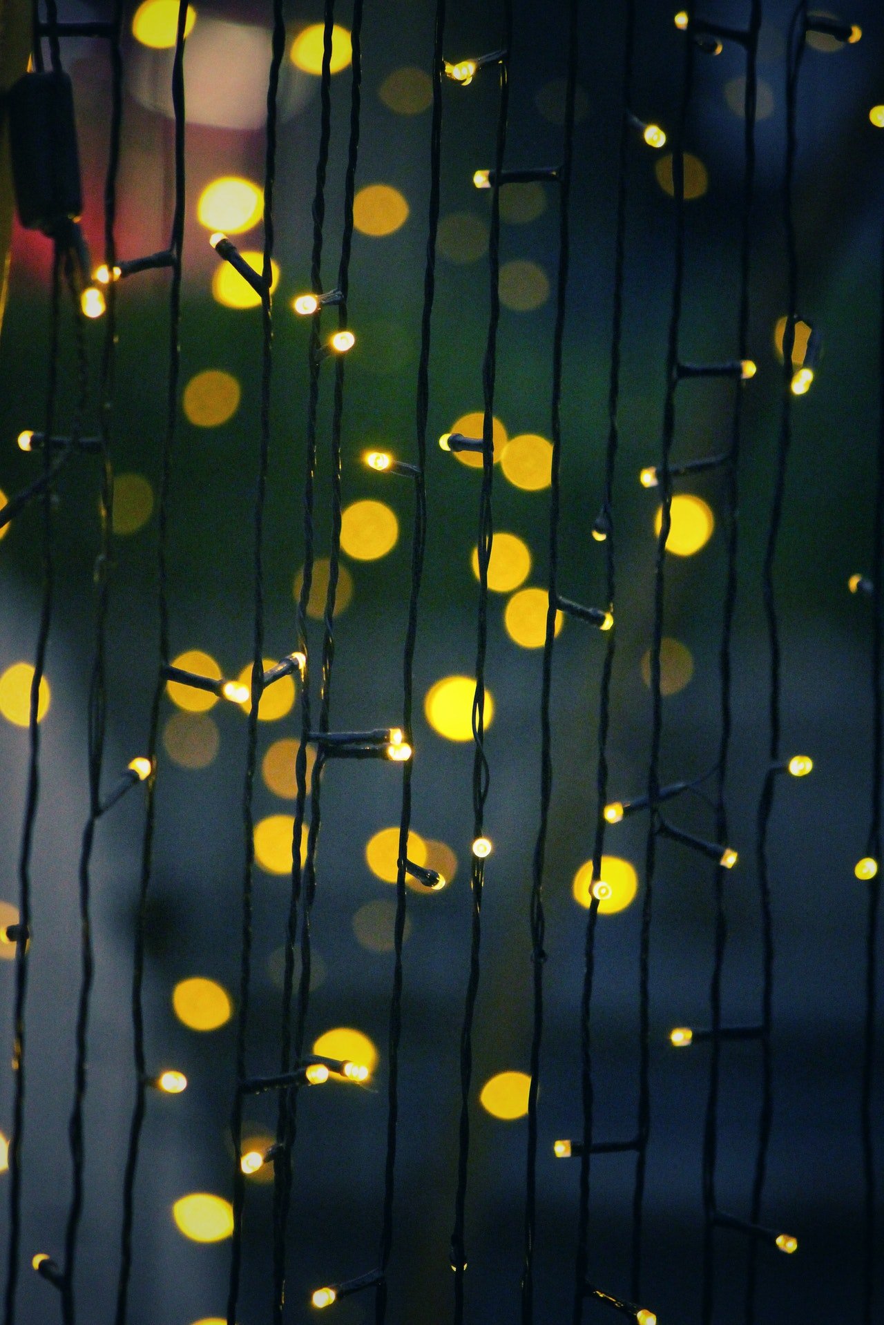 Photo of Christmas lights | Photo: Getty Images