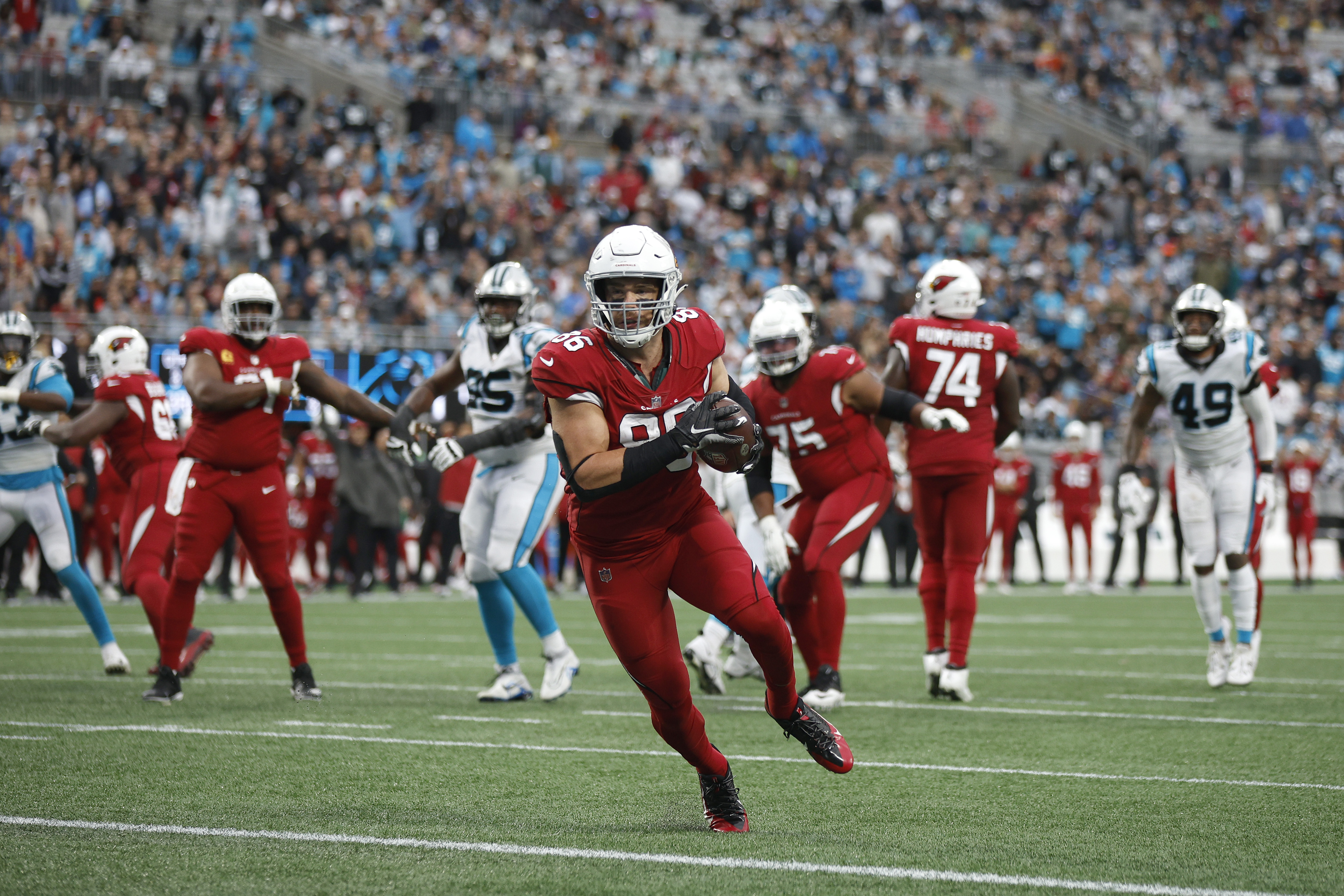 Arizona Cardinals vs. the Carolina Panthers. | Source: Getty Images