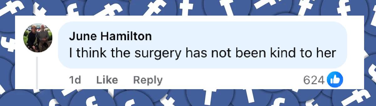 A netizen's comment on Priscilla Presley, dated July 30, 2025 | Source: Facebook/DailyMail