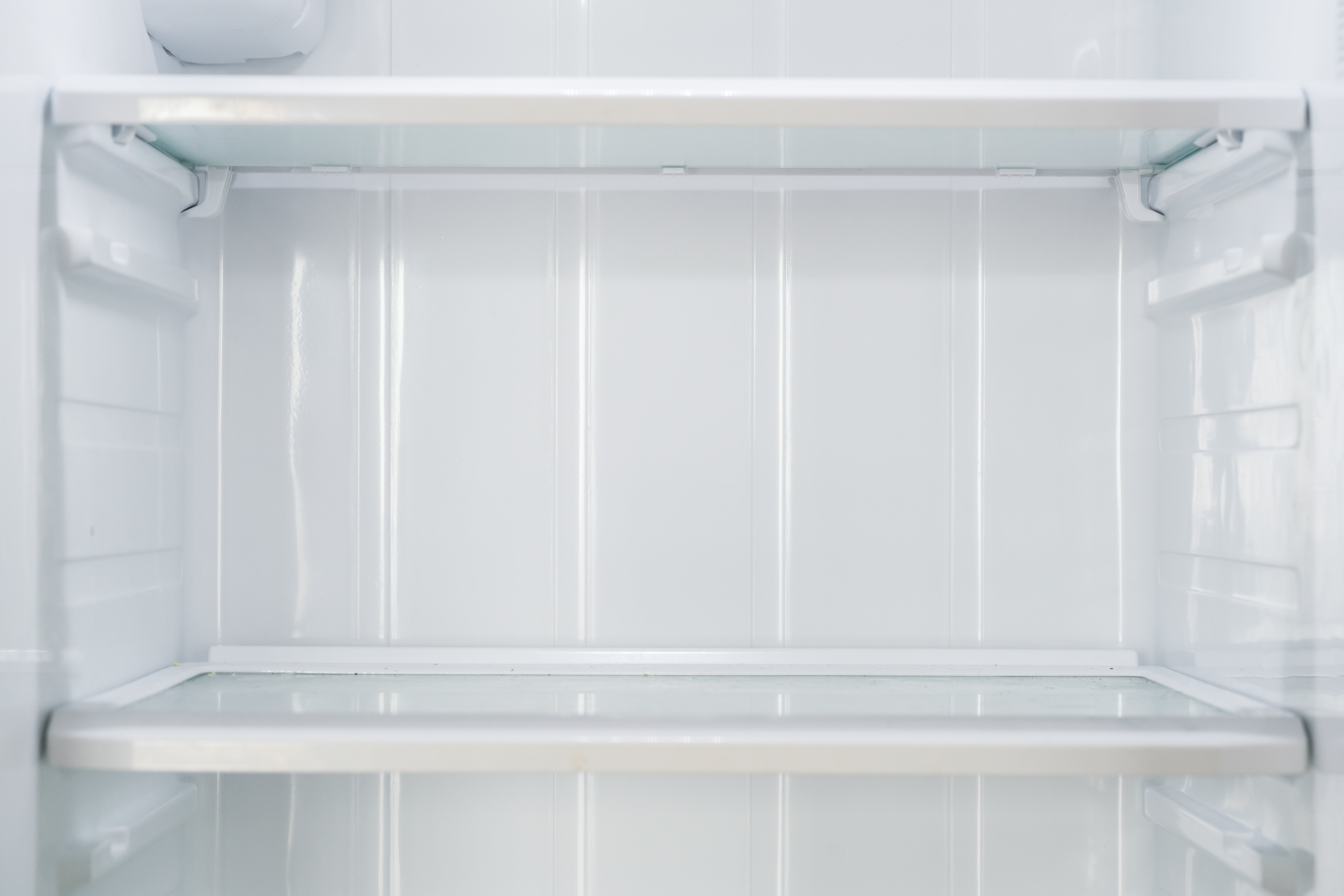 Refrigerator shelves | Shutterstock