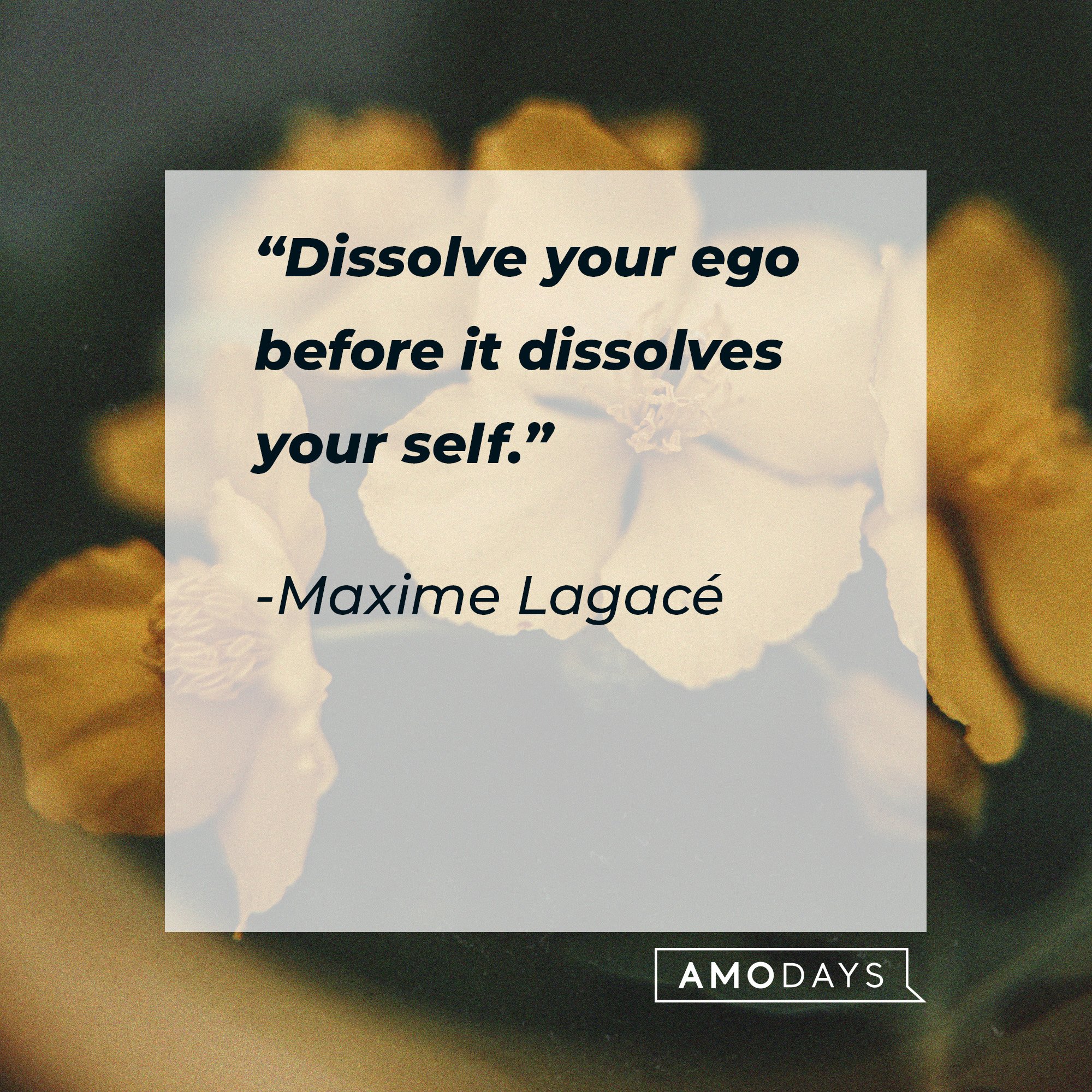 Maxime Lagacé's quote: “Dissolve your ego before it dissolves your self.” | Image: AmoDays