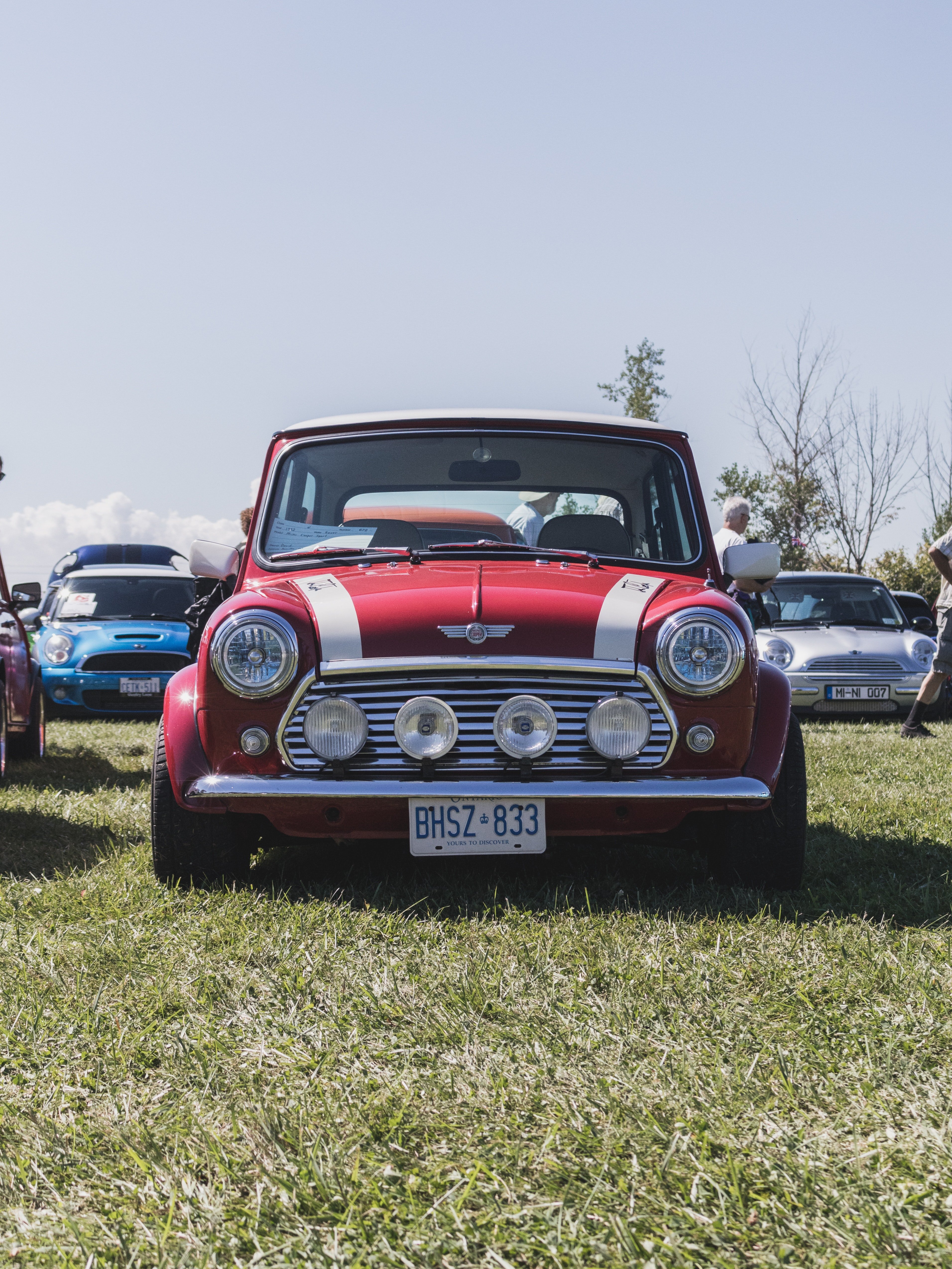 Image Credits: Pexels Image Credits: Pexels