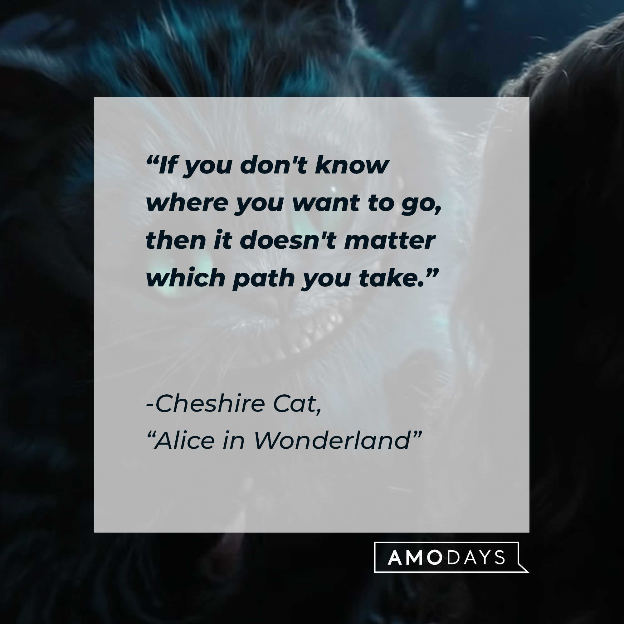 Cheshire Cat's "Alice in Wonderland" quote: "If you don't know where you want to go, then it doesn't matter which path you take." | Source: Youtube.com/DisneyUK