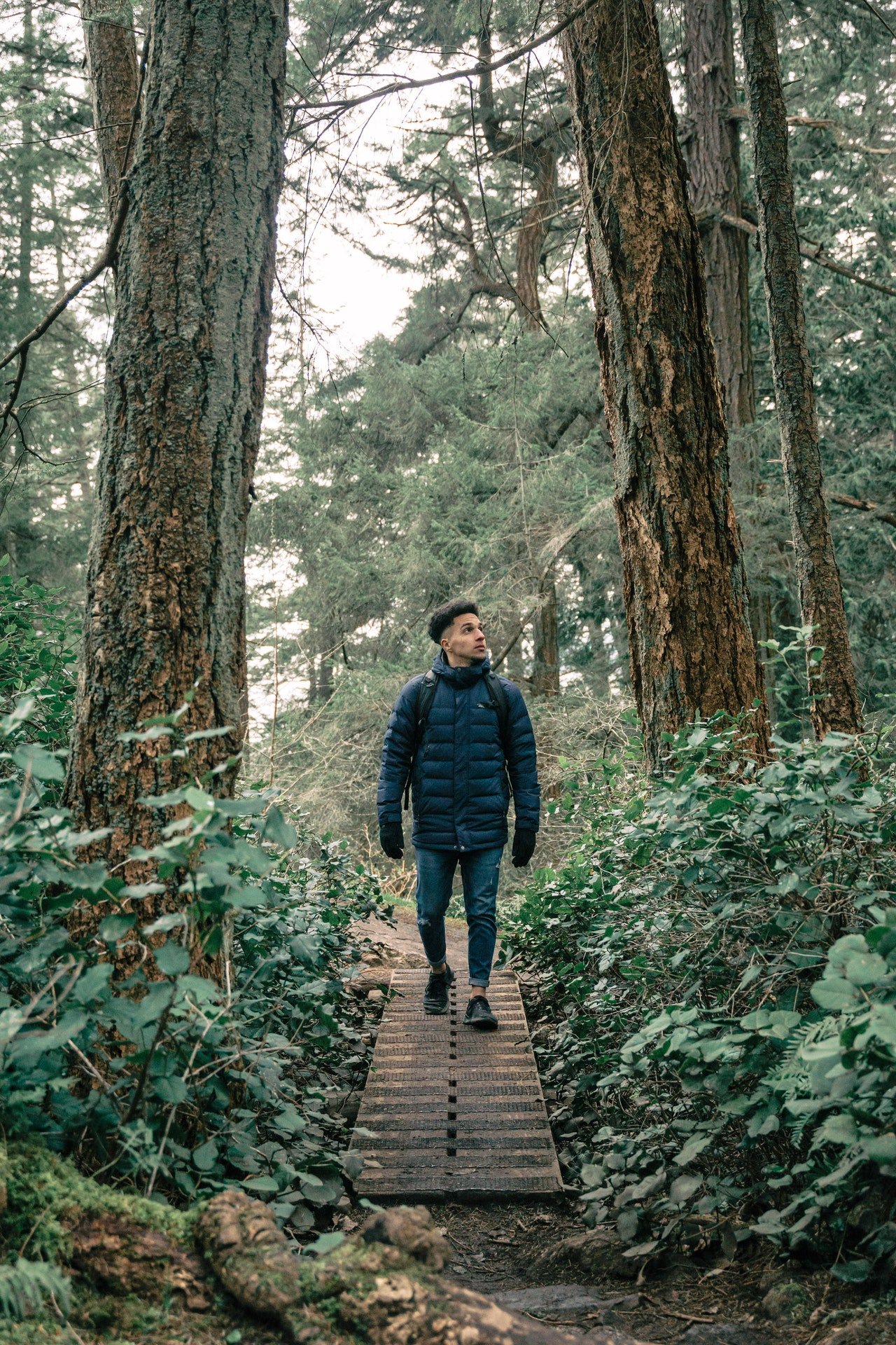 Photo of a man having a walk in the forest | Photo: Pexels