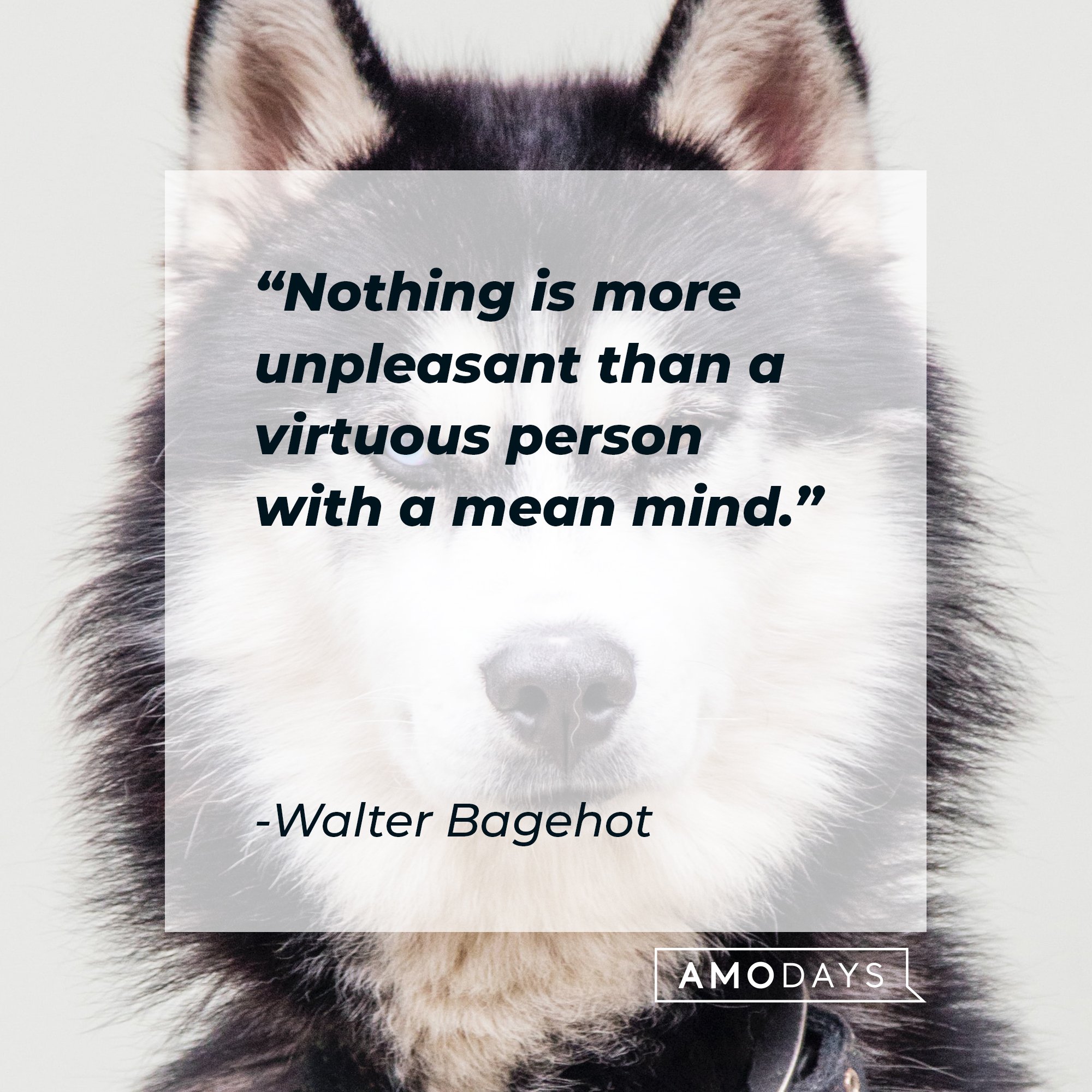 Walter Bagehot's quote: "Nothing is more unpleasant than a virtuous person with a mean mind." | Image: AmoDays