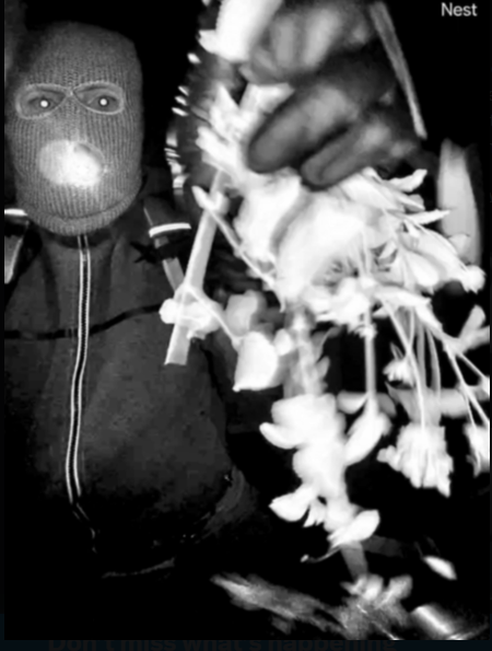 A released cctv footage by the FBI of the suspect in Nancy Guthrie's disappearance posted on February 10, 2026 | Source: x.com/FBIDirectorKash