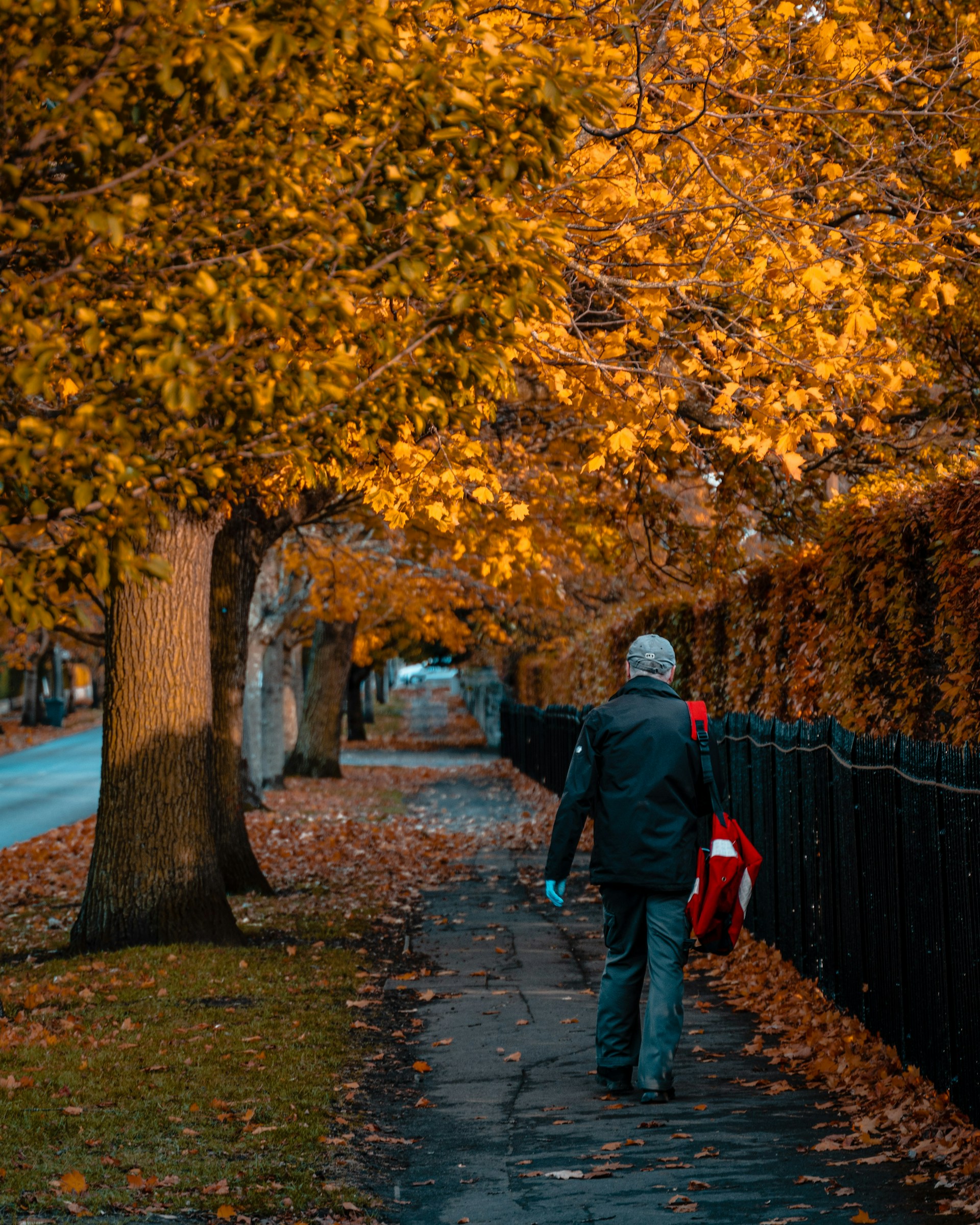 A man walking on a tree-lined path | Source: Unsplash