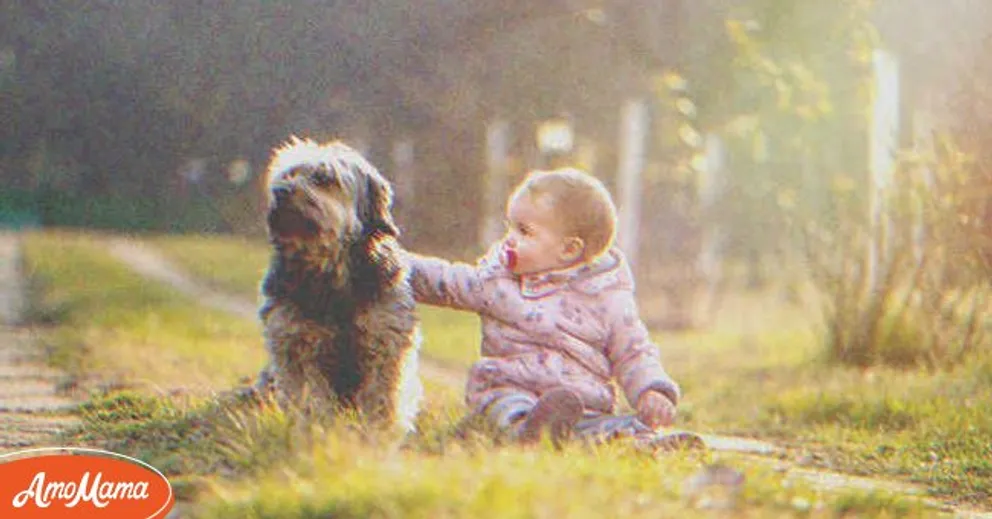 Le chien de Jack, Ralph, s'est retrouvé un jour à côté d'une petite fille. | Source : Shutterstock.com
