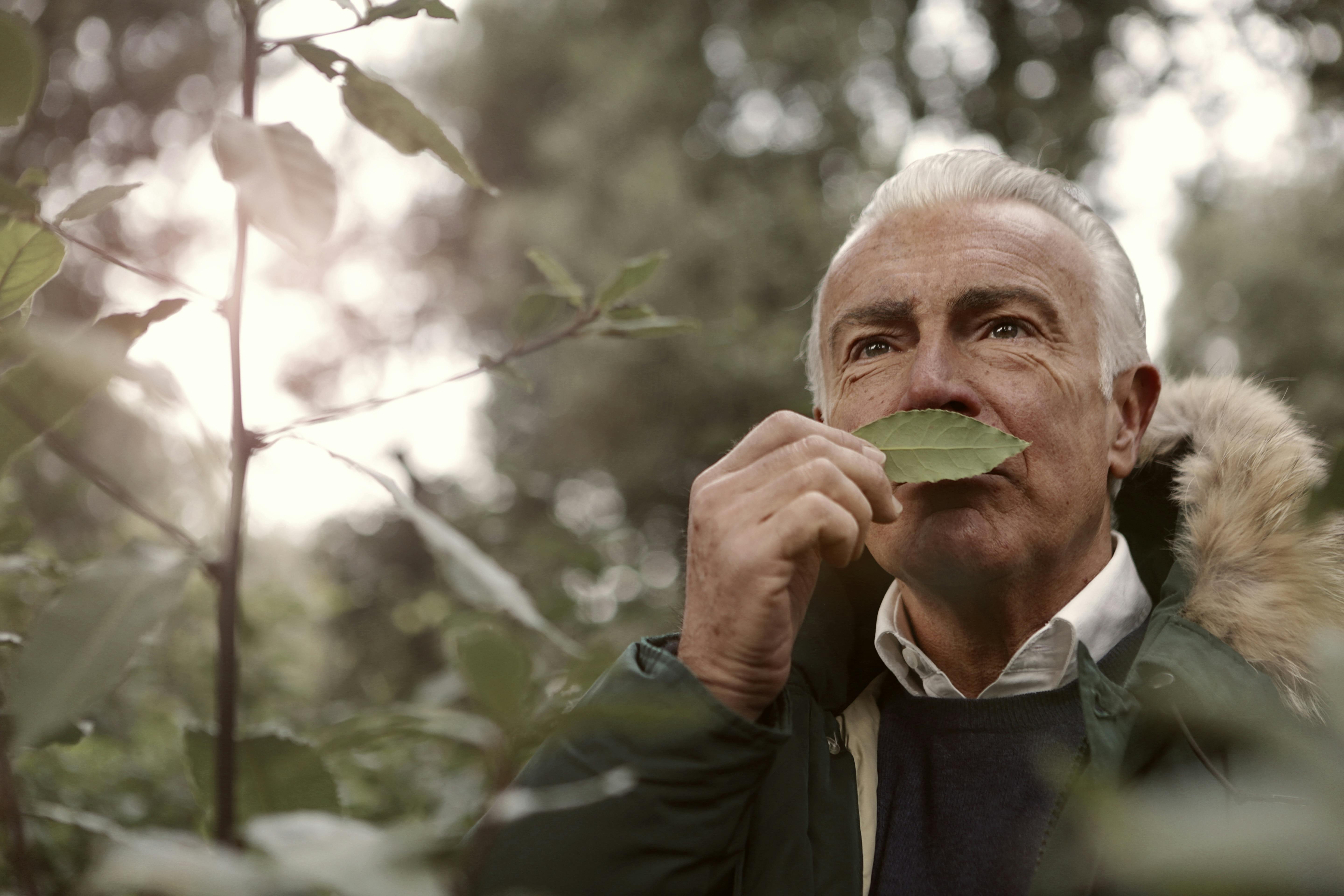 An old man sniffing a leaf | Source: Pexels