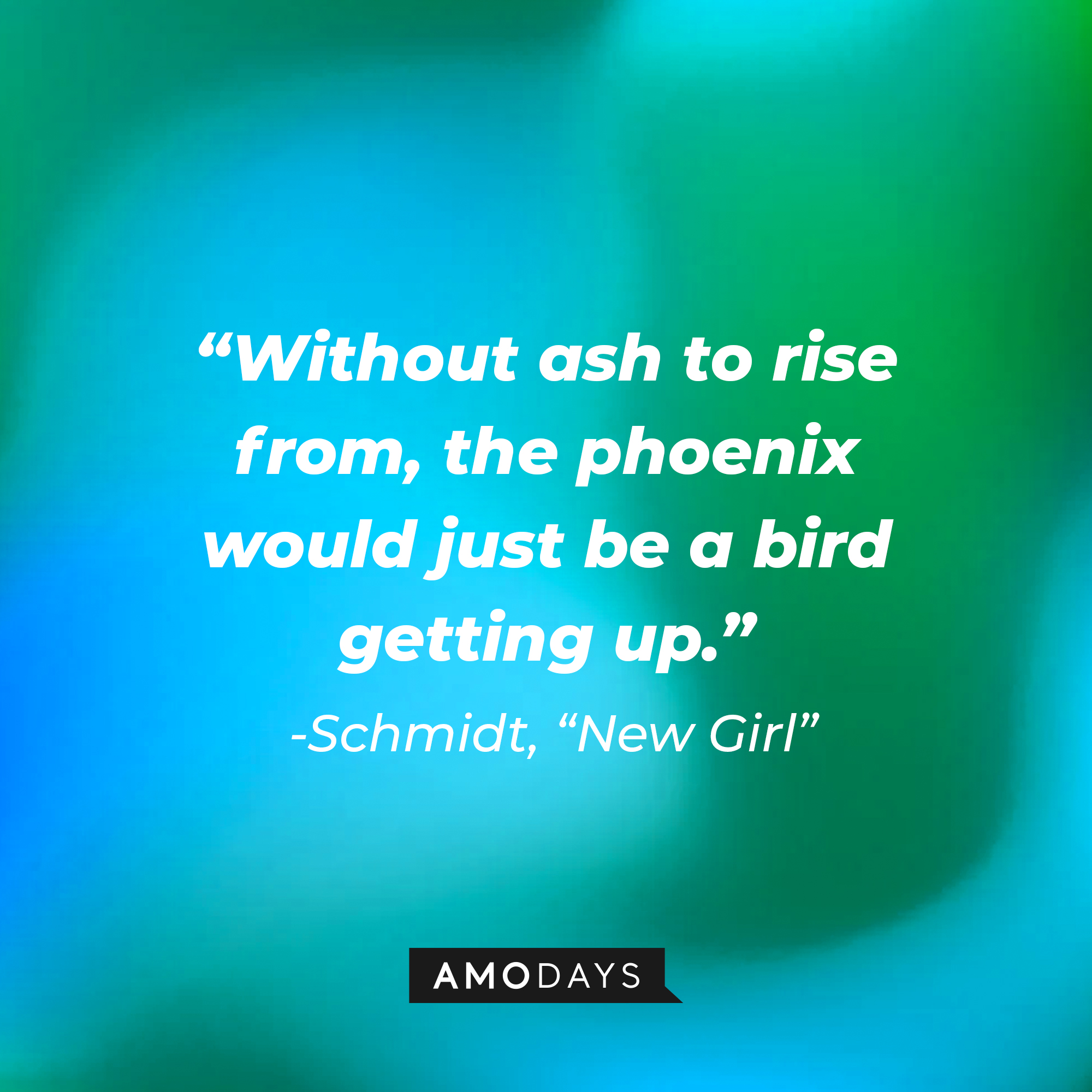 Schmidt's quote: "Without ash to rise from, the phoenix would just be a bird getting up." | Source: Amodays