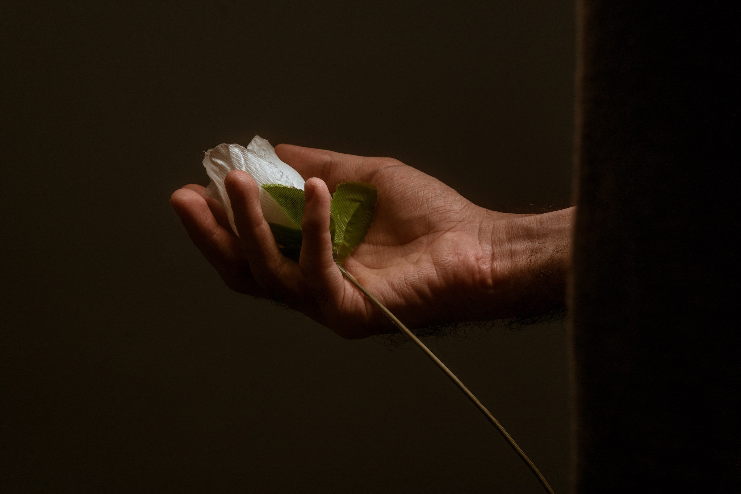 Eine Person, die eine weiße Rose in ihren Händen hält. | Quelle: Unsplash