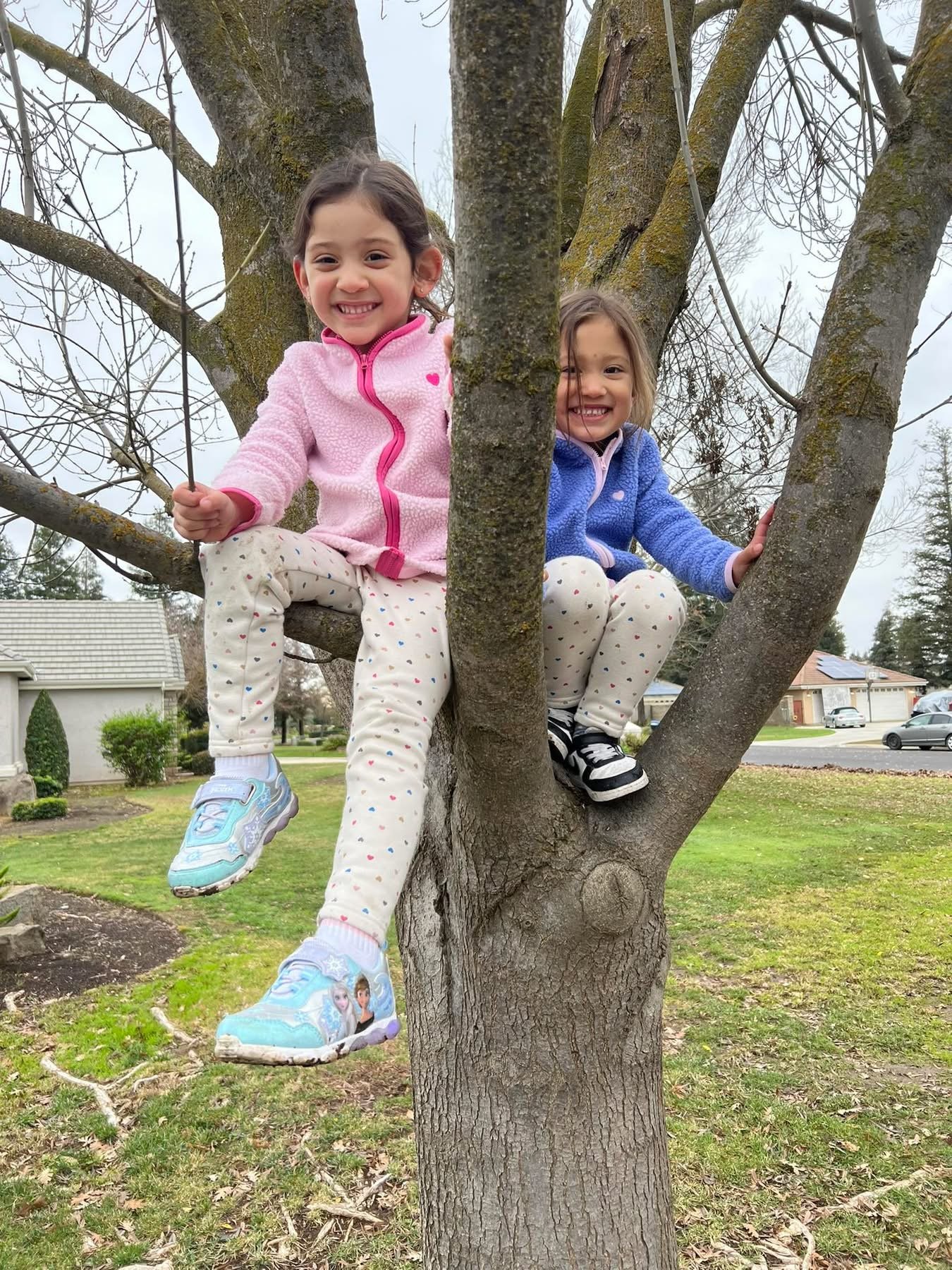 It is profoundly tragic when an accident impacts children who were barely starting their lives. In this photo, Nyah and Naomi Leon played in a tree | Source: GoFundMe