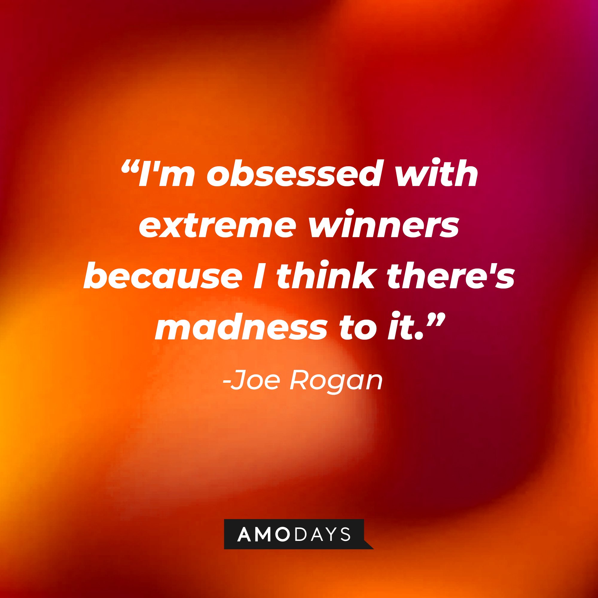 Joe Rogan's quote: "I'm obsessed with extreme winners because I think there's madness to it."  | Image: AmoDays