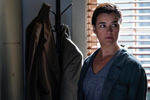 Gibbs and Ziva's rogue investigation takes an unexpected turn when a possible terrorist plot is revealed, on NCIS  | Photo: Getty Images