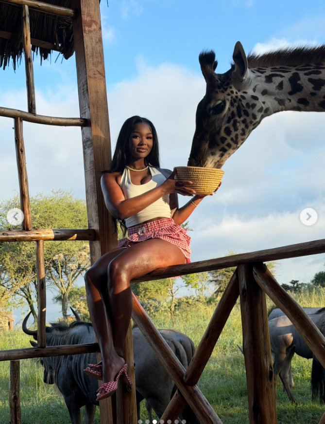Perched effortlessly along the wooden railing, Ashly Robinson balances elegance and adventure as she feeds the giraffe at eye level. | Source: Instagram/ashleejenae