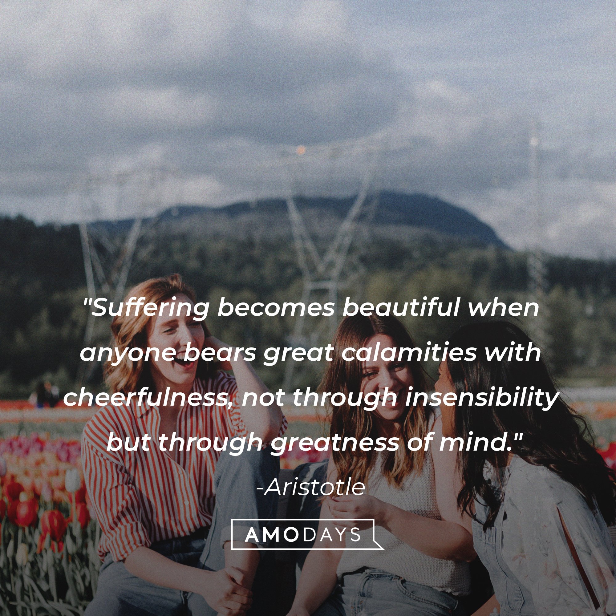 Aristotle’s quote: "Suffering becomes beautiful when anyone bears great calamities with cheerfulness, not through insensibility but through greatness of mind." | Image: AmoDays