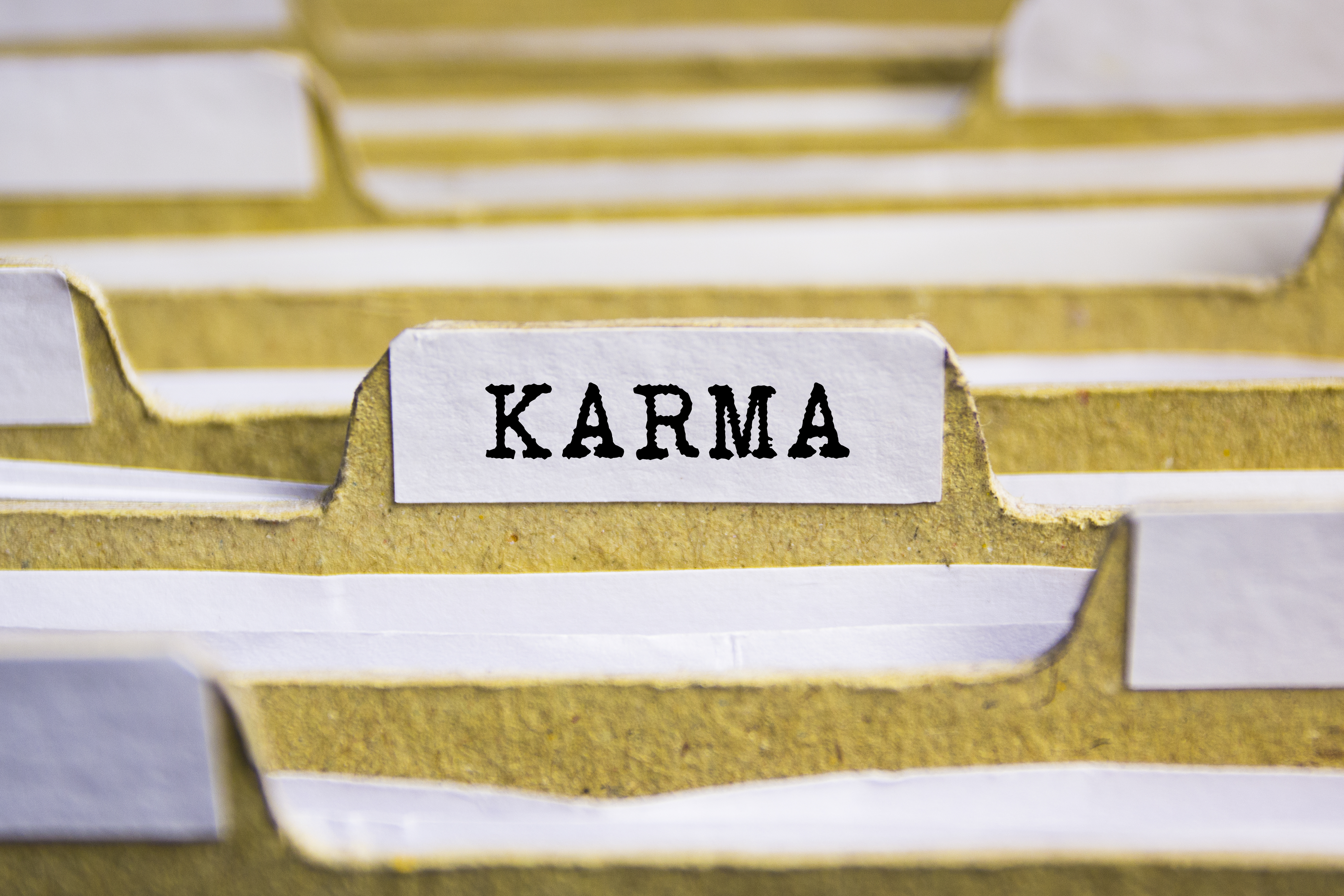 Das Wort "Karma" gedruckt auf einer Akte | Quelle: Shutterstock/Sinart Creative