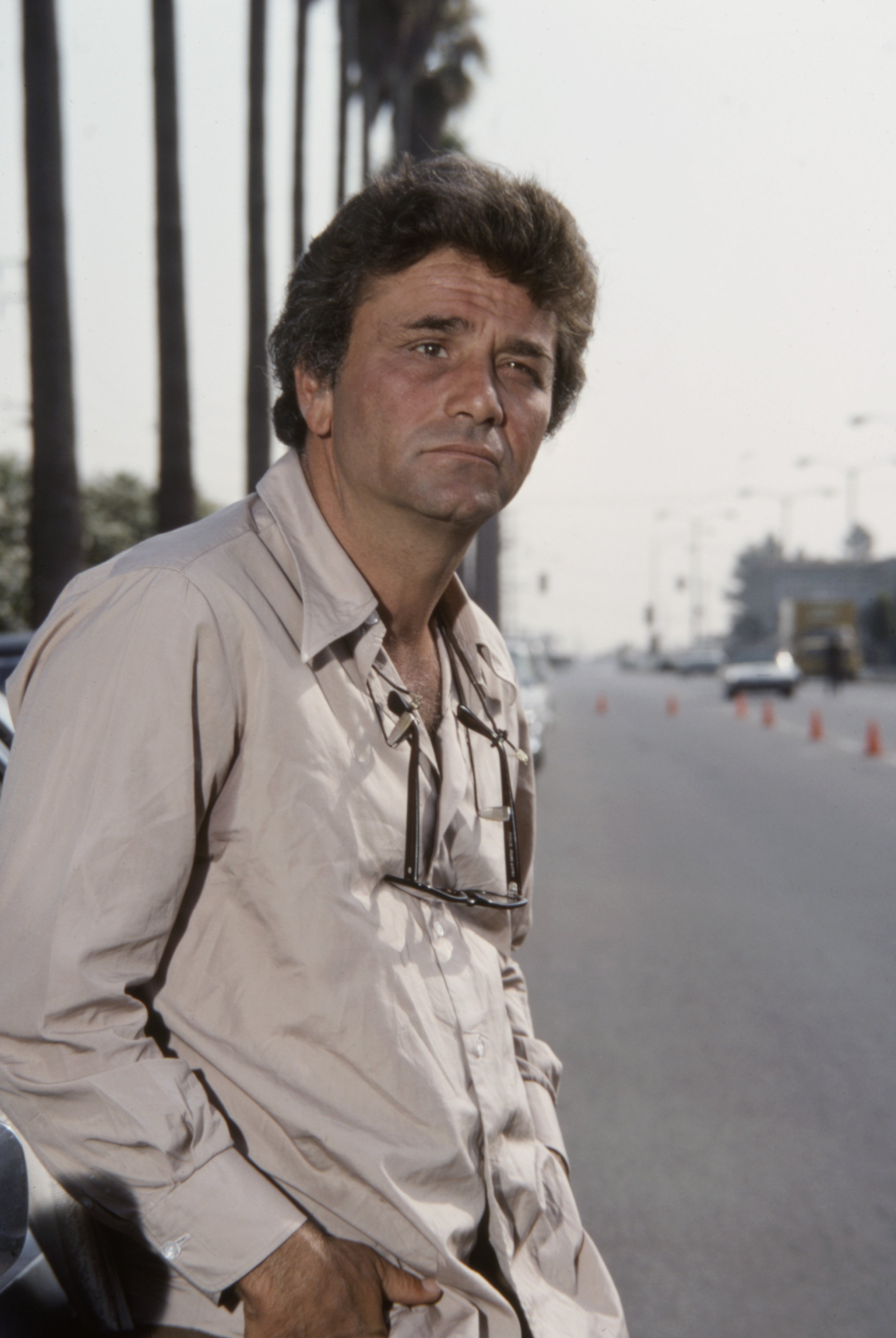 Peter Falk appearing in the ABC tv movie 'Griffin and Phoenix'. | Source: Getty Images