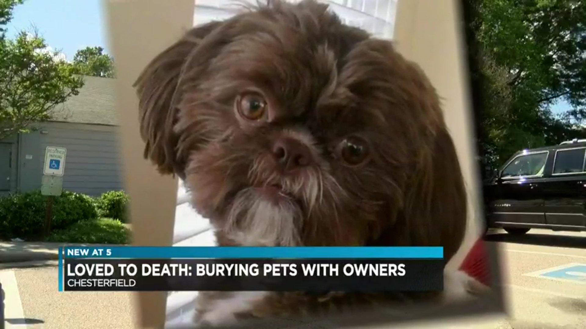 La petite chienne Emma / Source : WWBT-TV video screenshot